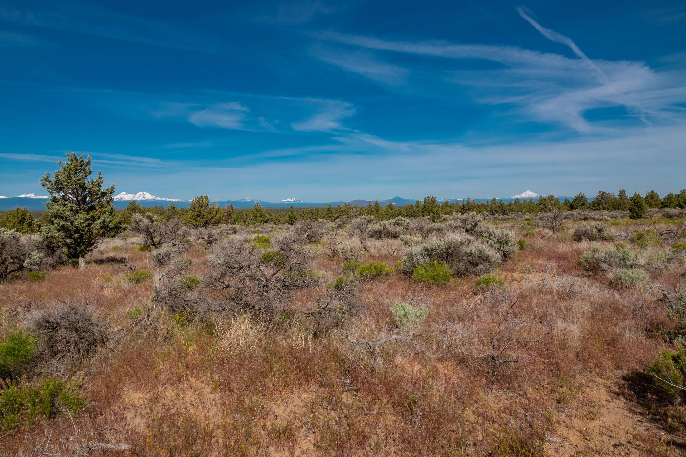 Lot 13 Grandview Road Powell Butte, OR 97753 - Photo 14 of 38 Lot 13 Grand View_0009 copy