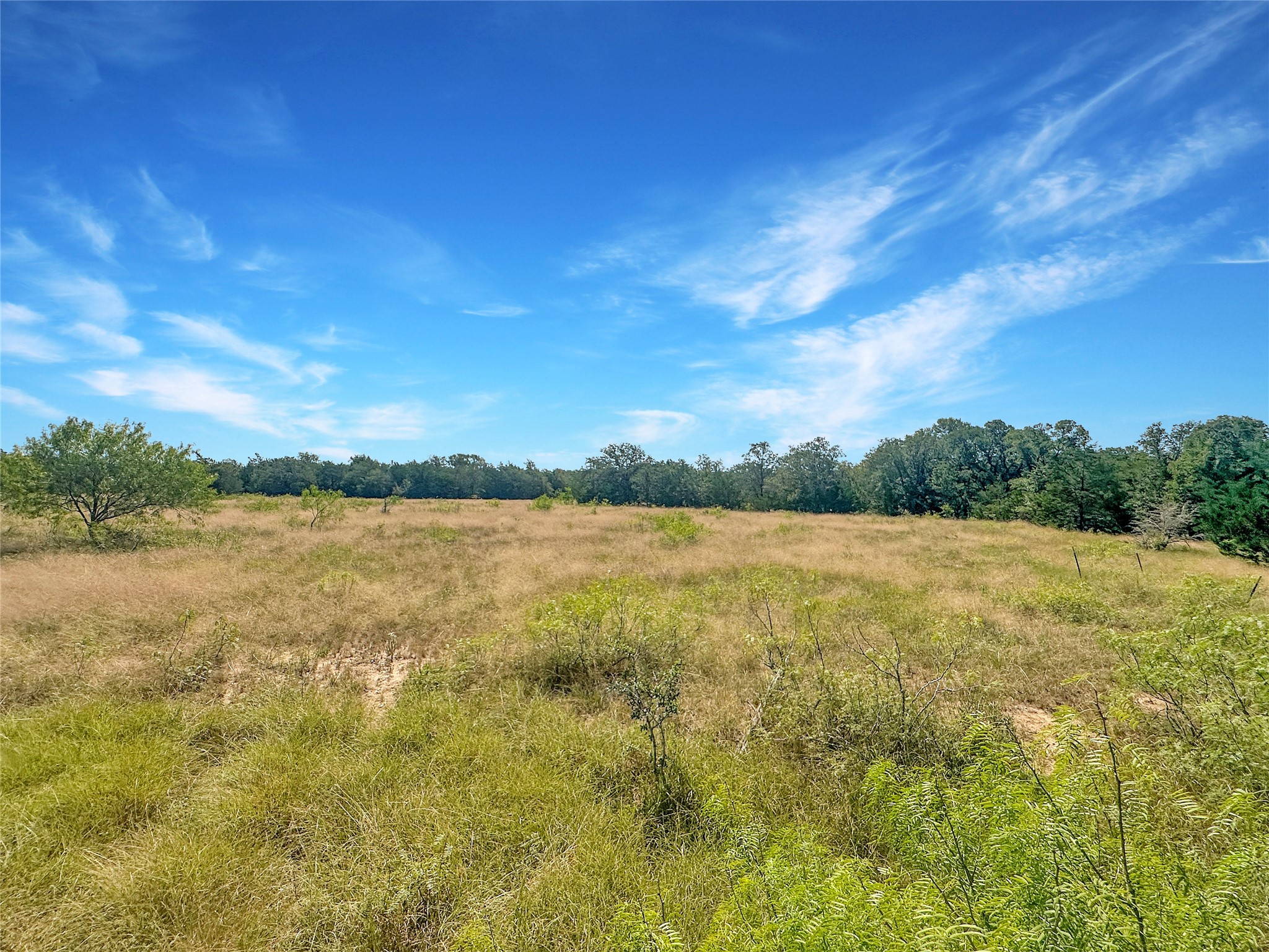 1345 Davis Road Muldoon, TX 78949 - Photo 20 of 25 a view of lake with green space