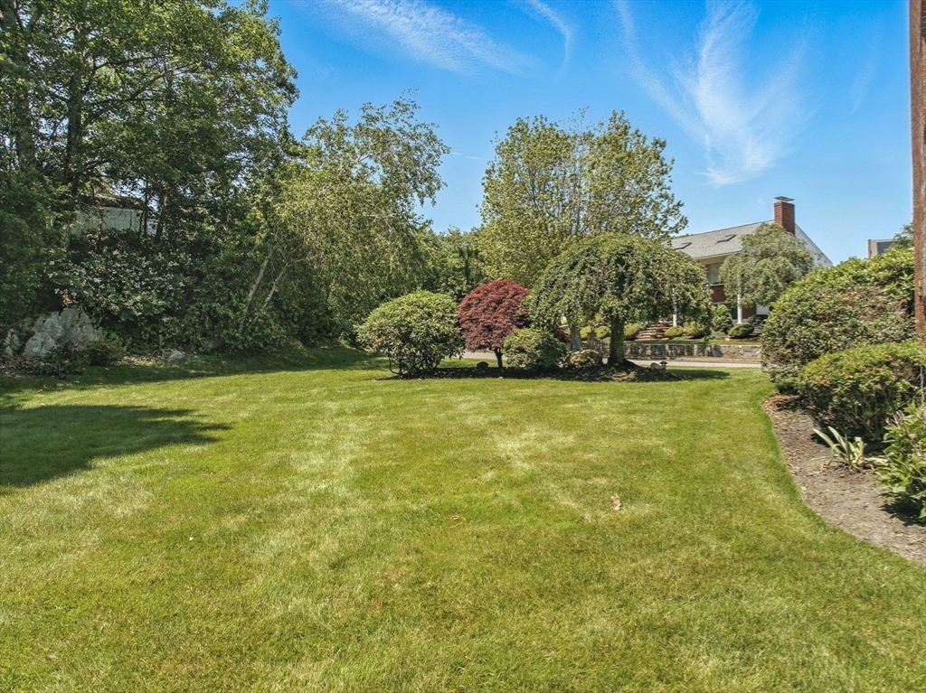 45 Susan Drive Saugus, MA 01906 - Photo 30 of 30 a view of yard with green space