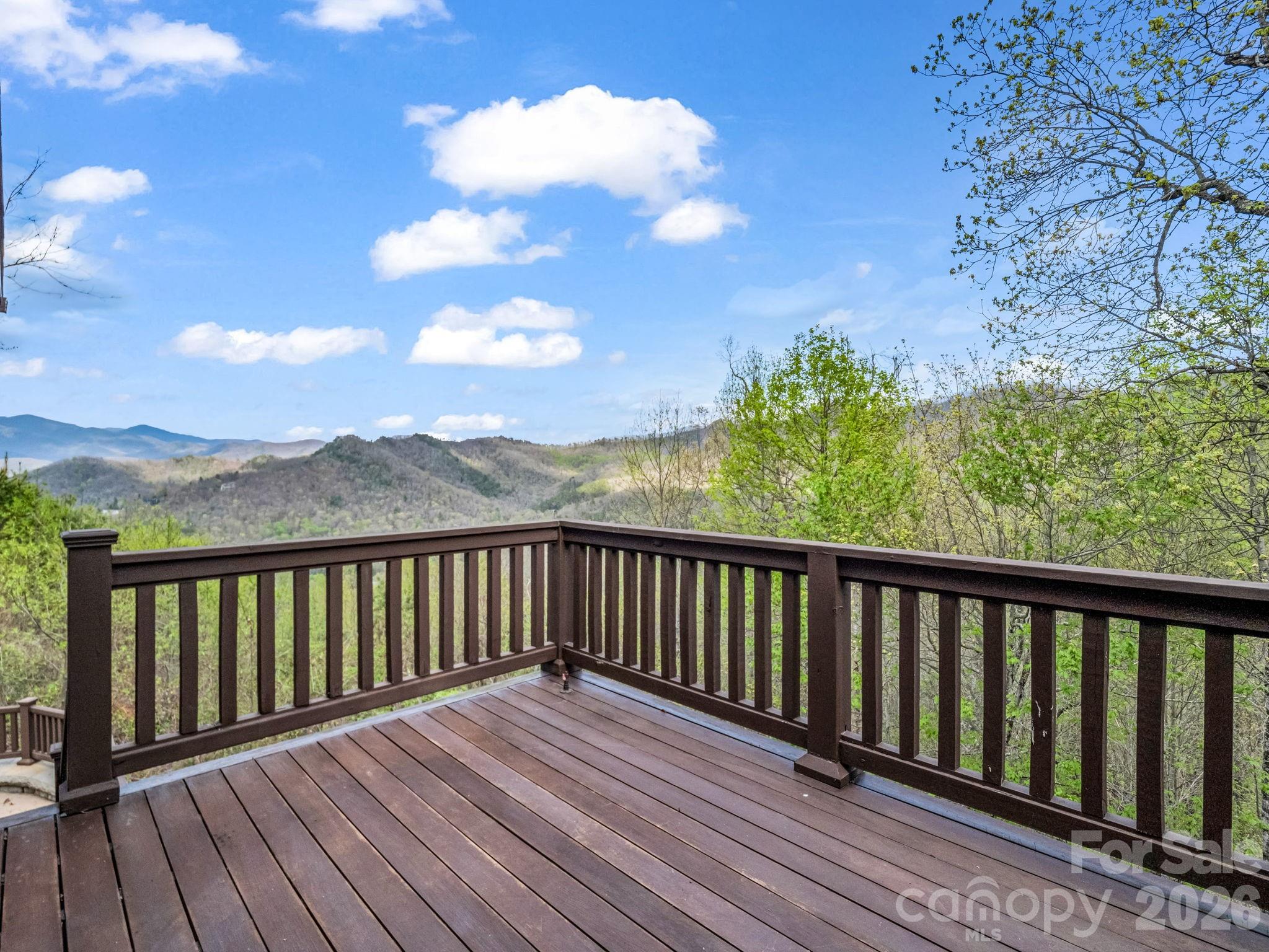 29 Crockett Ridge Road Black Mountain, NC 28711 - Photo 21 of 48