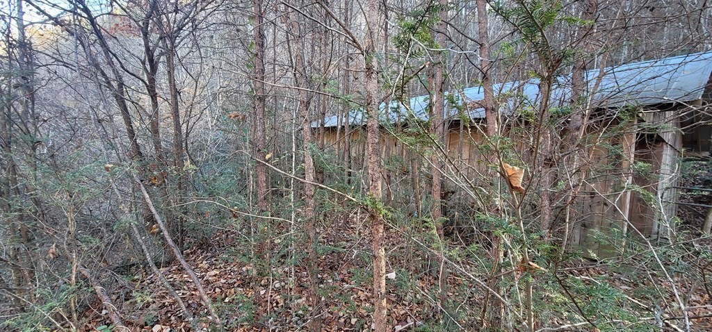 2 Wilhite Road Cosby, TN 37722 - Photo 14 of 24