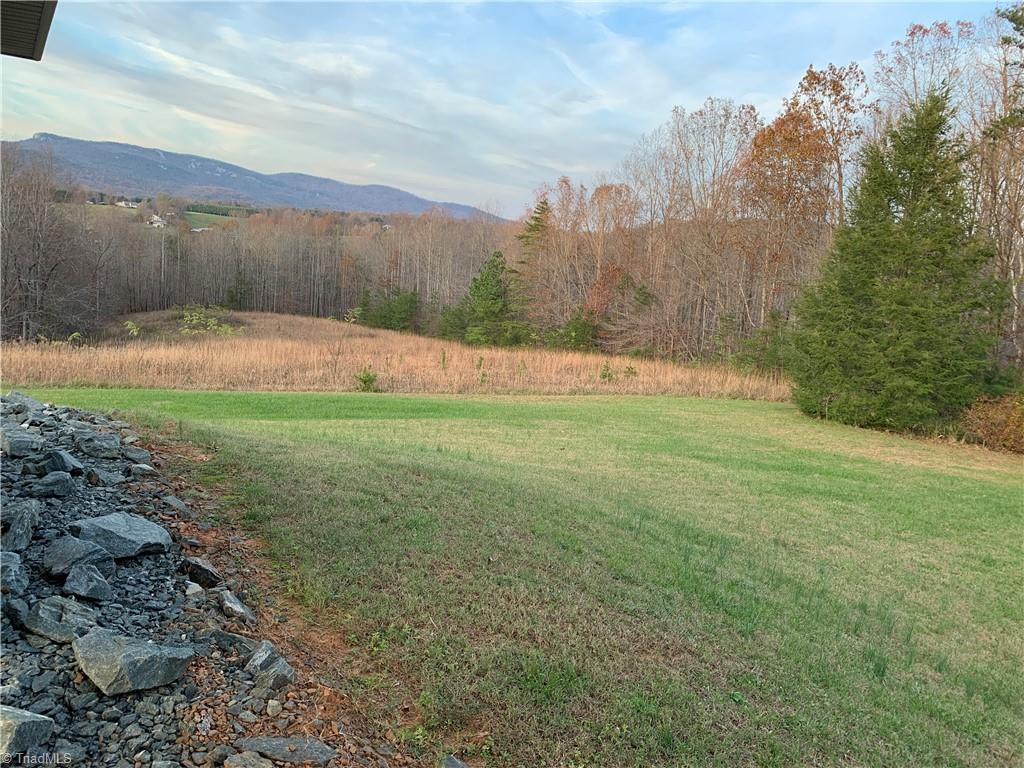 1198 Big Oak Road Germanton, NC 27019 - Photo 36 of 50 27+ acres in the two tracts included in this sale.