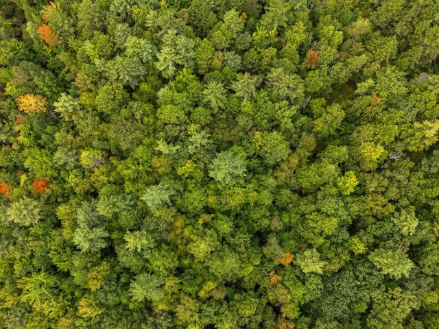 $99,000 | 0 Raymond Road, Auburn, NH 03032