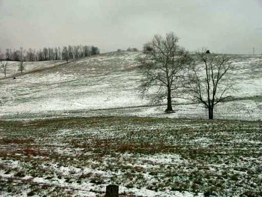 Parcel 7 Hickory Nut Road Avella, PA 15312 - Photo 4 of 4