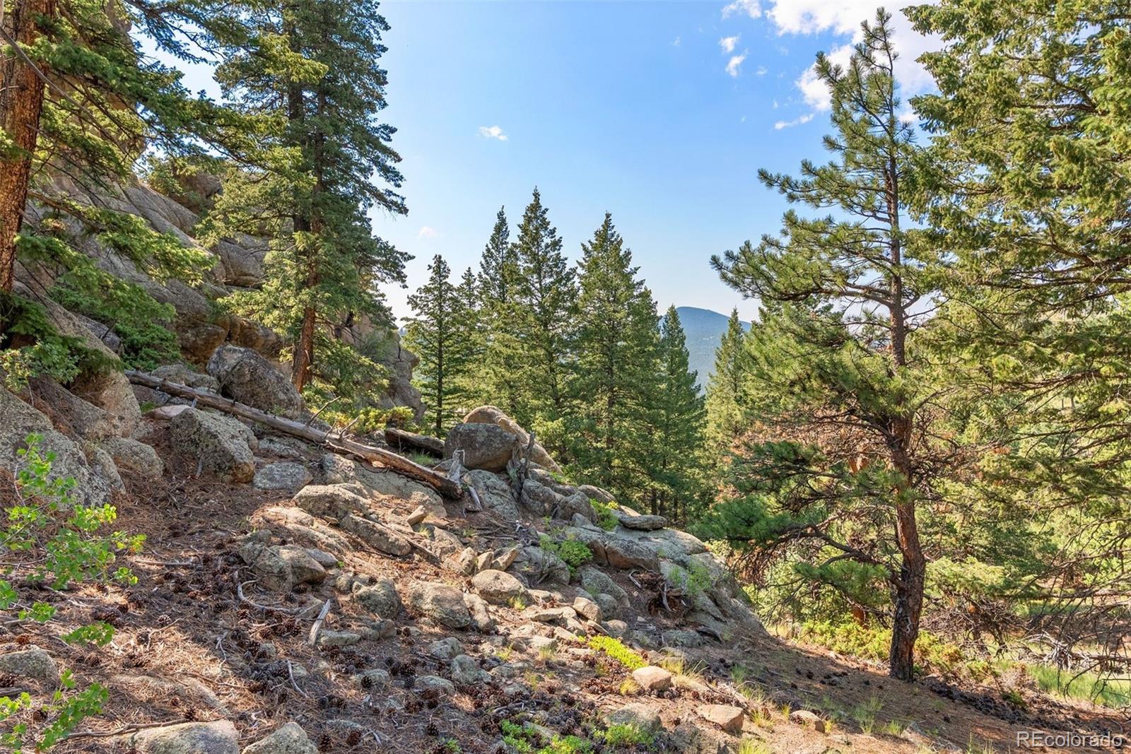 6371 Canyon Creek Road Evergreen, CO 80439 - Photo 12 of 50 a view of a forest