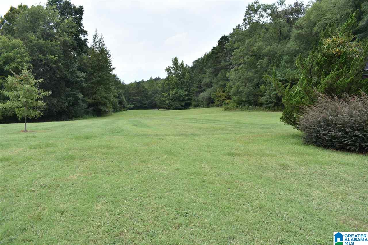 700 Fred Walker Road Remlap, AL 35133 - Photo 41 of 49