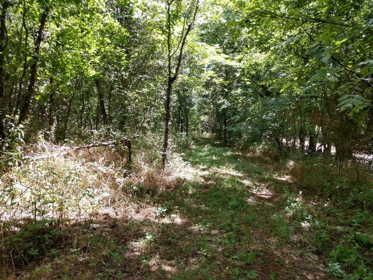 2366 Tracy Road Watertown, TN 37184 - Photo 3 of 25 a view of a yard with a tree
