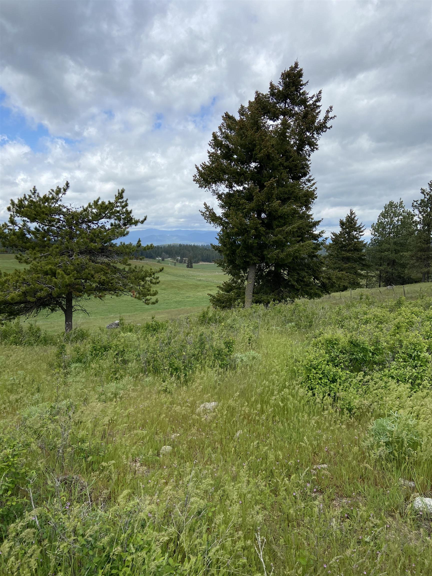 3737 East Jump Off Road, Unit LOT 5 Valley, WA 99181 - Photo 11 of 15