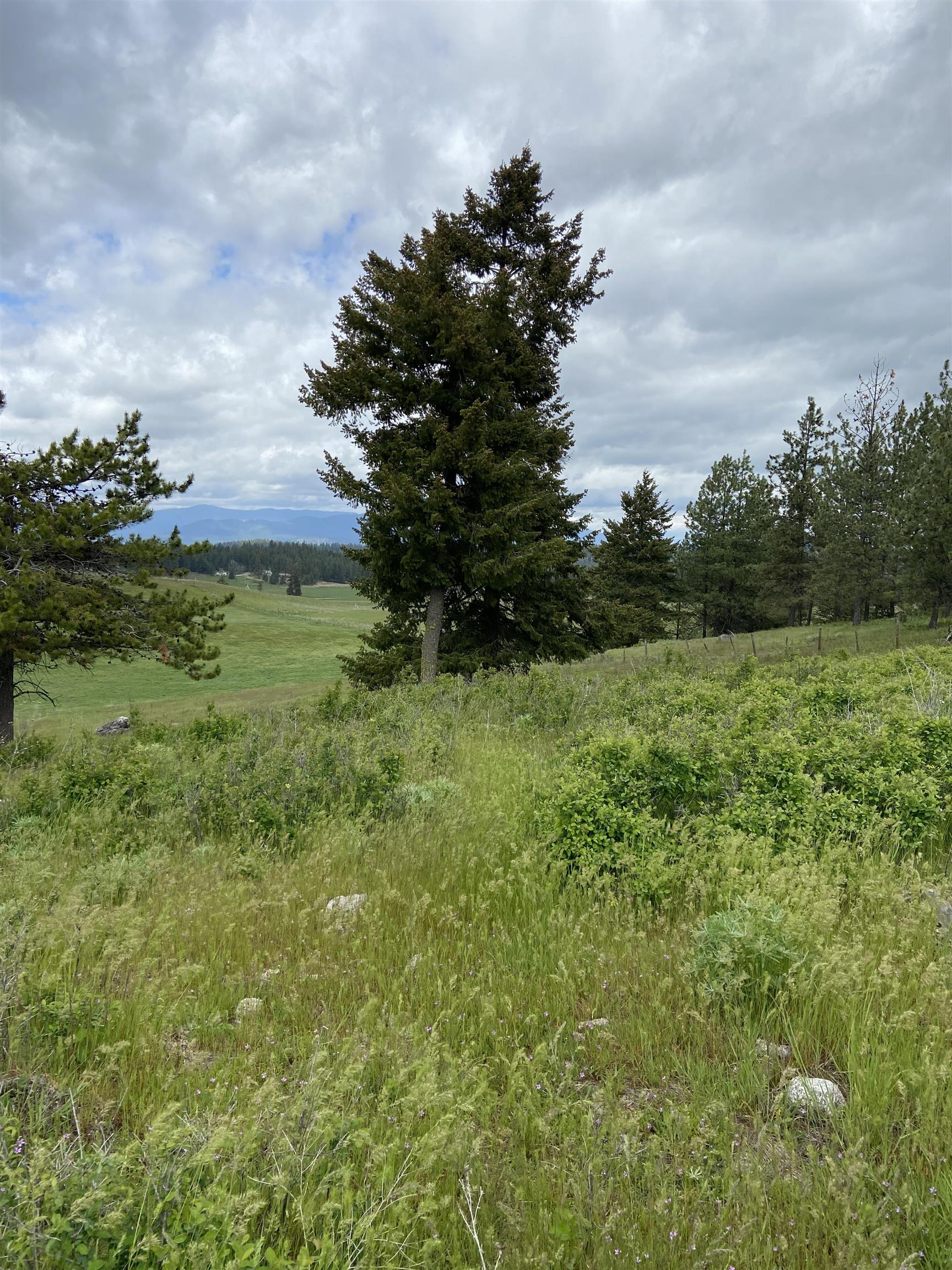 3737 East Jump Off Road, Unit LOT 5 Valley, WA 99181 - Photo 12 of 15