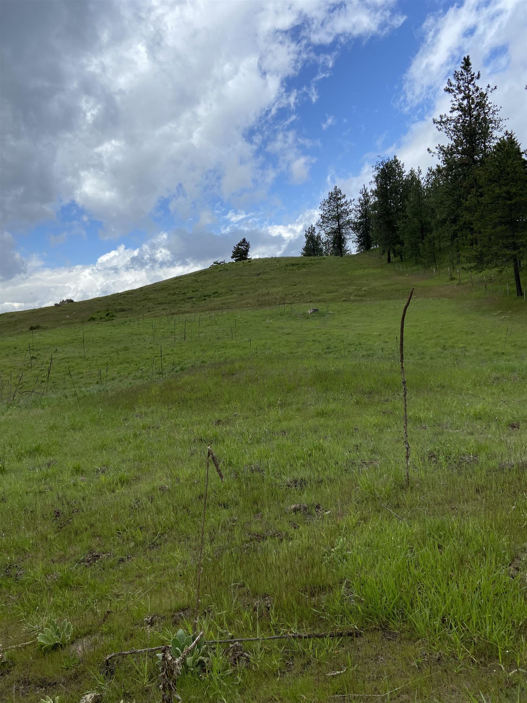 3737 East Jump Off Road, Unit LOT 5 Valley, WA 99181 - Photo 13 of 15