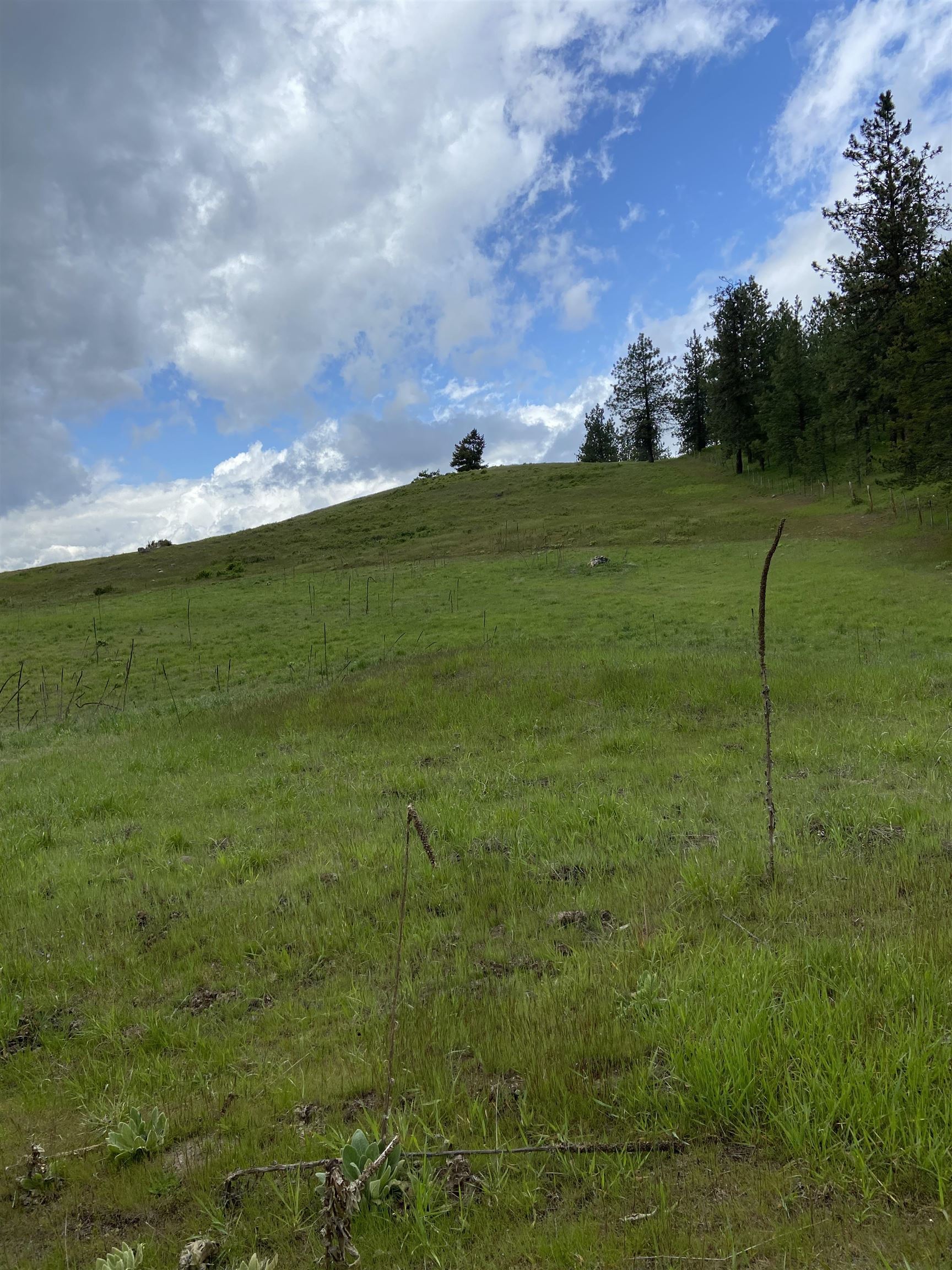 3737 East Jump Off Road, Unit LOT 5 Valley, WA 99181 - Photo 14 of 15