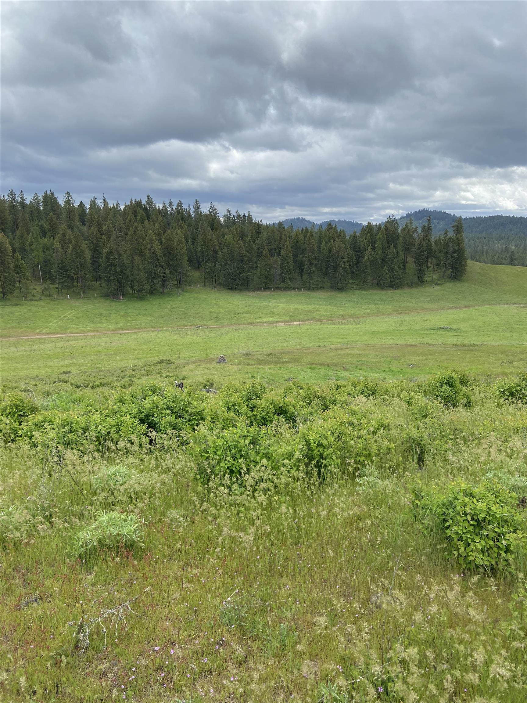 3737 East Jump Off Road, Unit LOT 5 Valley, WA 99181 - Photo 15 of 15