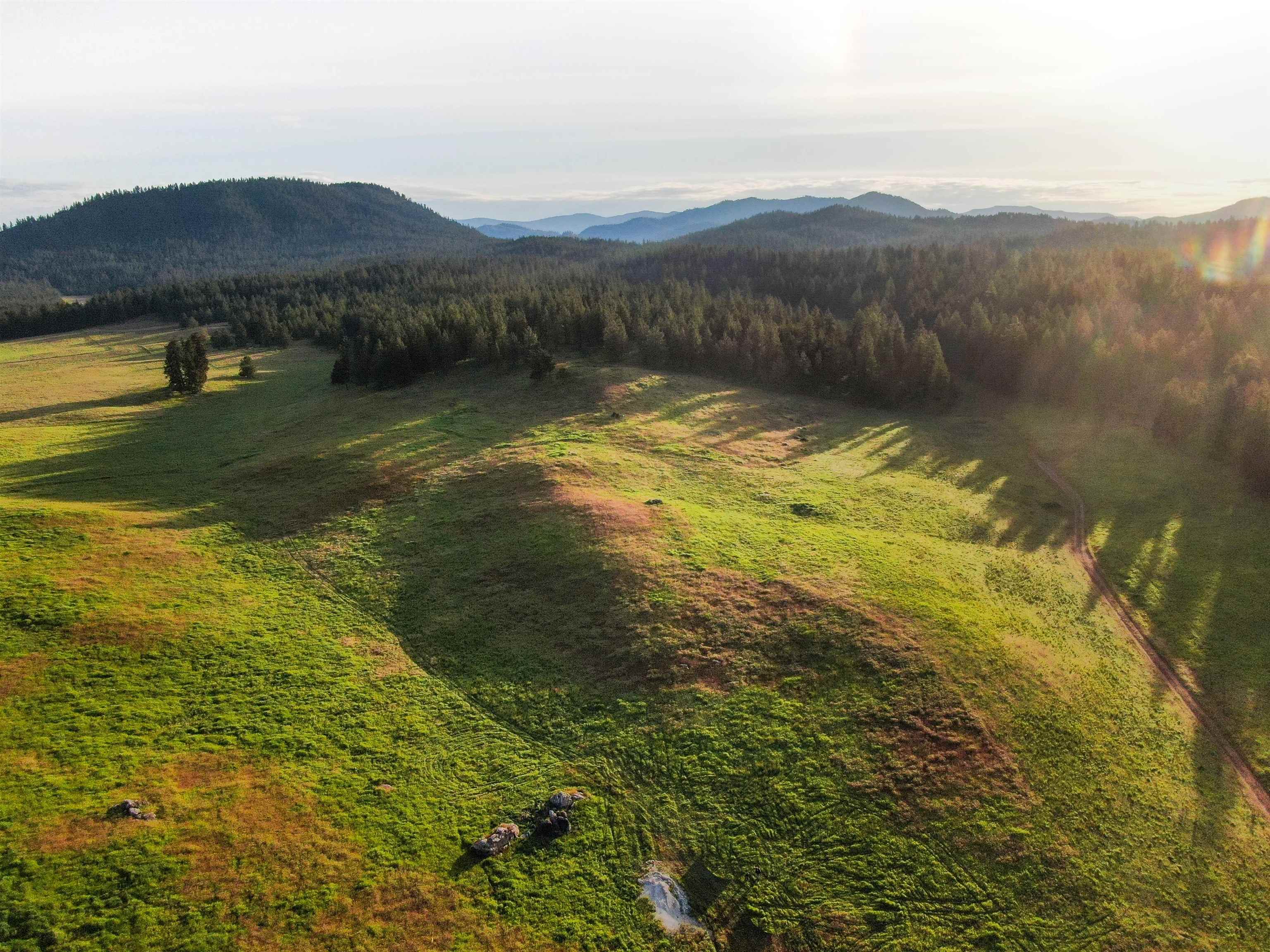 3737 East Jump Off Road, Unit LOT 5 Valley, WA 99181 - Photo 2 of 15