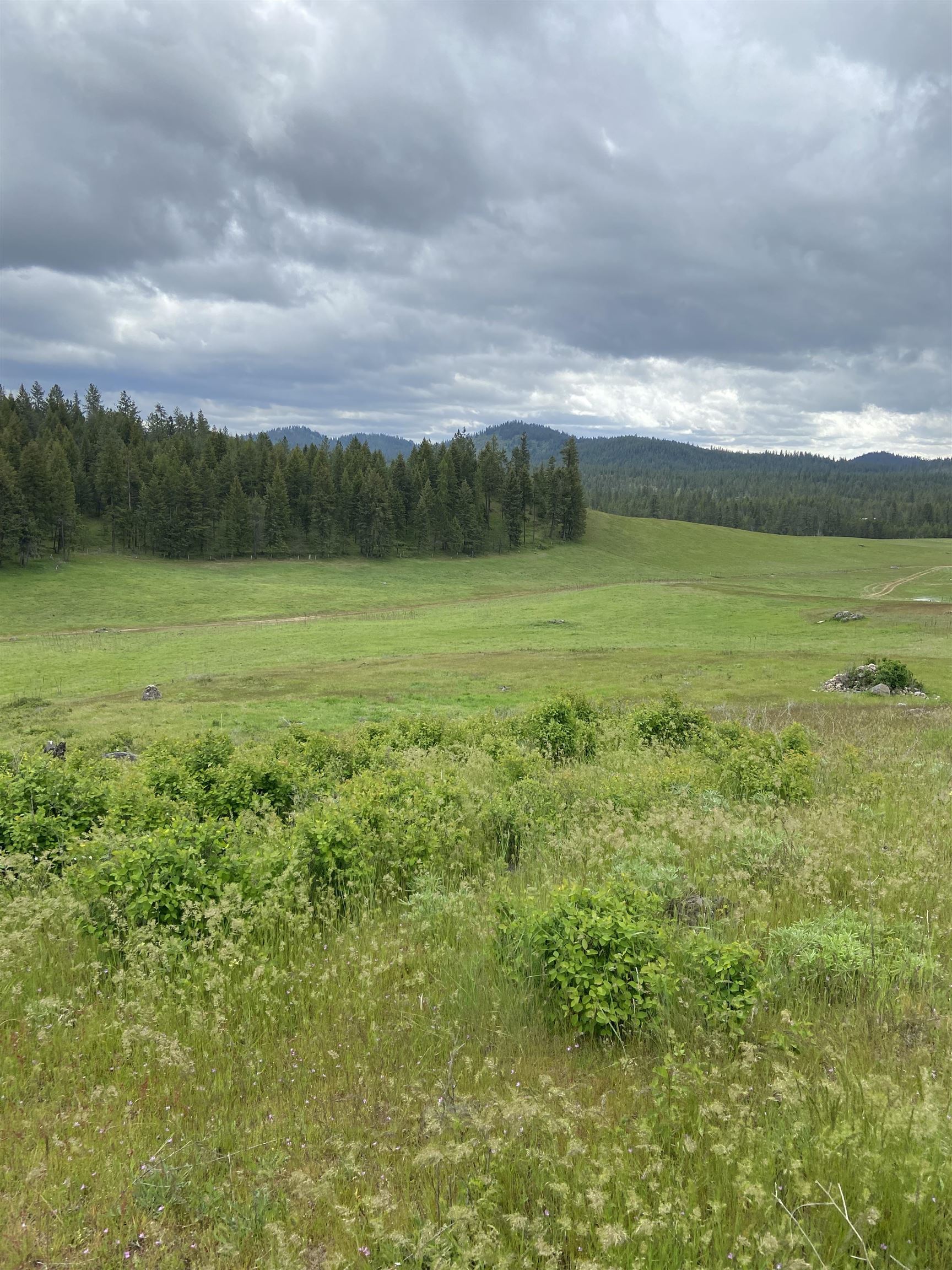 3737 East Jump Off Road, Unit LOT 5 Valley, WA 99181 - Photo 4 of 15