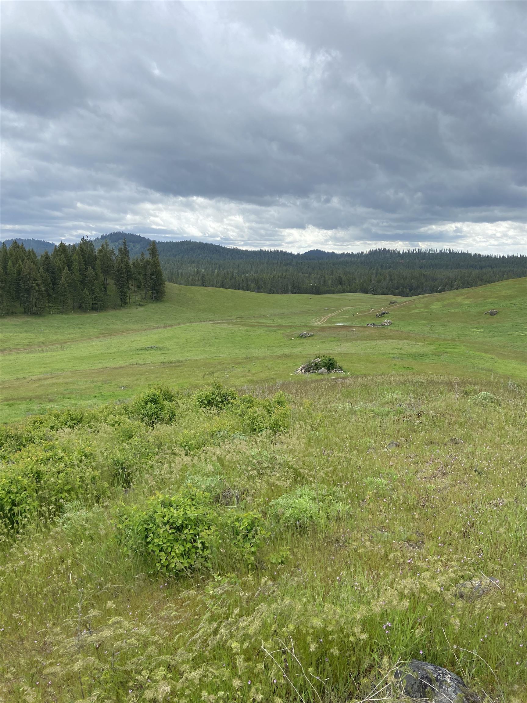 3737 East Jump Off Road, Unit LOT 5 Valley, WA 99181 - Photo 5 of 15