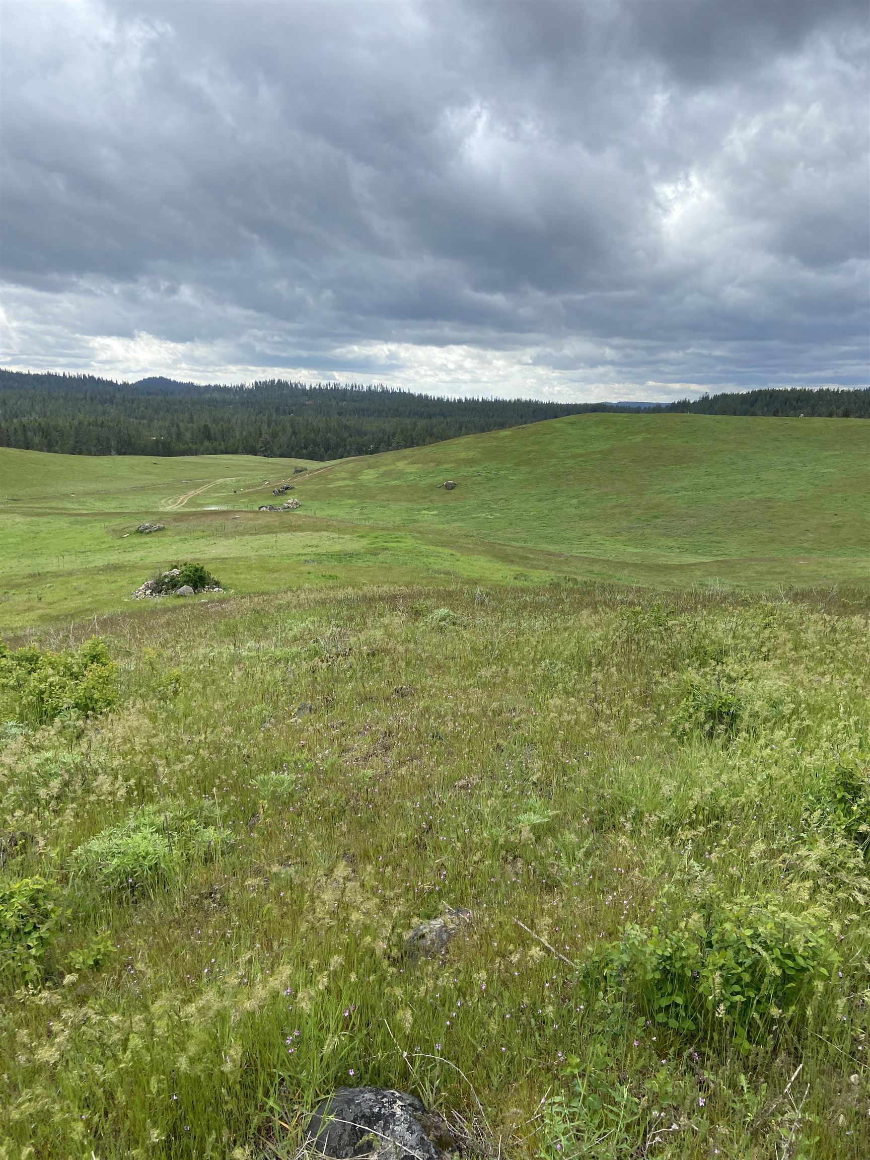 3737 East Jump Off Road, Unit LOT 5 Valley, WA 99181 - Photo 6 of 15