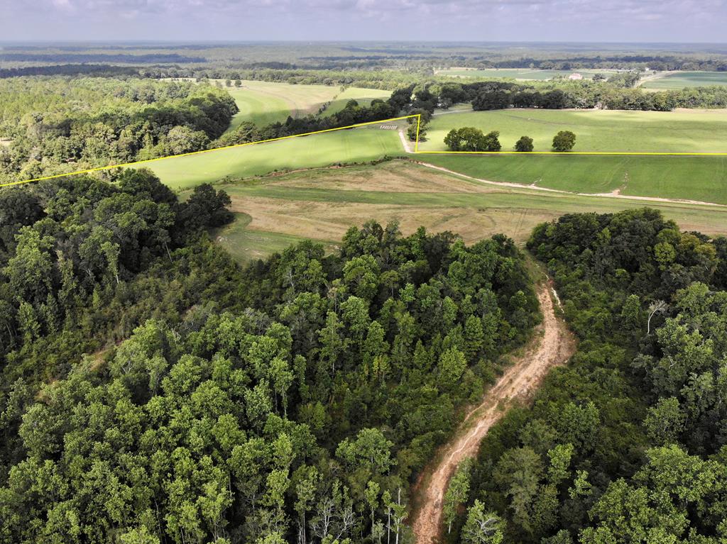 318.5-ac Goose Hollow Road Geneva, AL 36340 - Photo 12 of 50