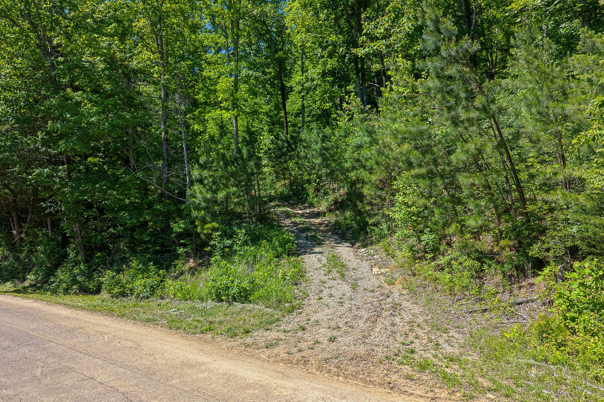 0 Mayberry Prong Road Linden, TN 37096 - Photo 4 of 24