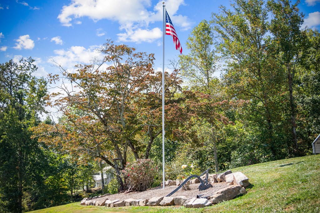 1201 Ada Street Blue Ridge, GA 30513 - Photo 4 of 62