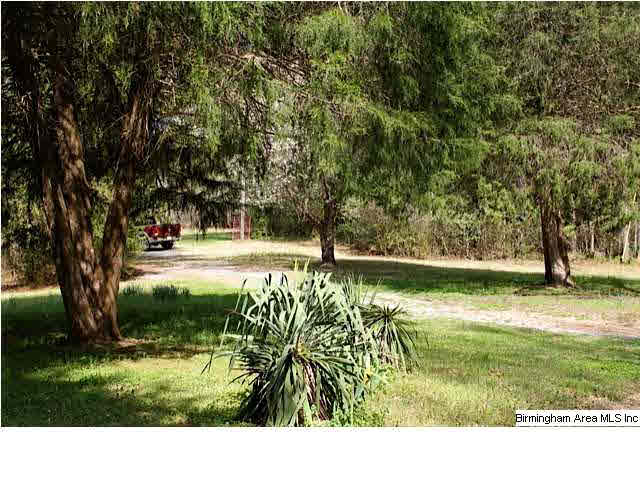 335 Cove Shocco Road Talladega, AL 35160 - Photo 3 of 24