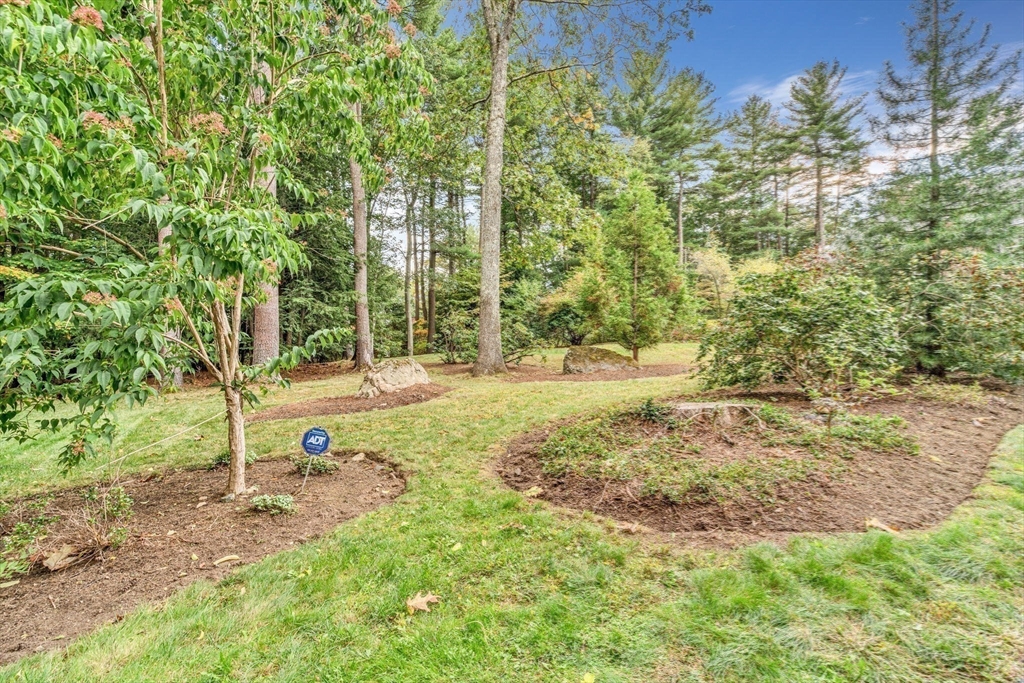 46 Round Hill Road Lincoln, MA 01773 - Photo 34 of 42 a view of yard with tree