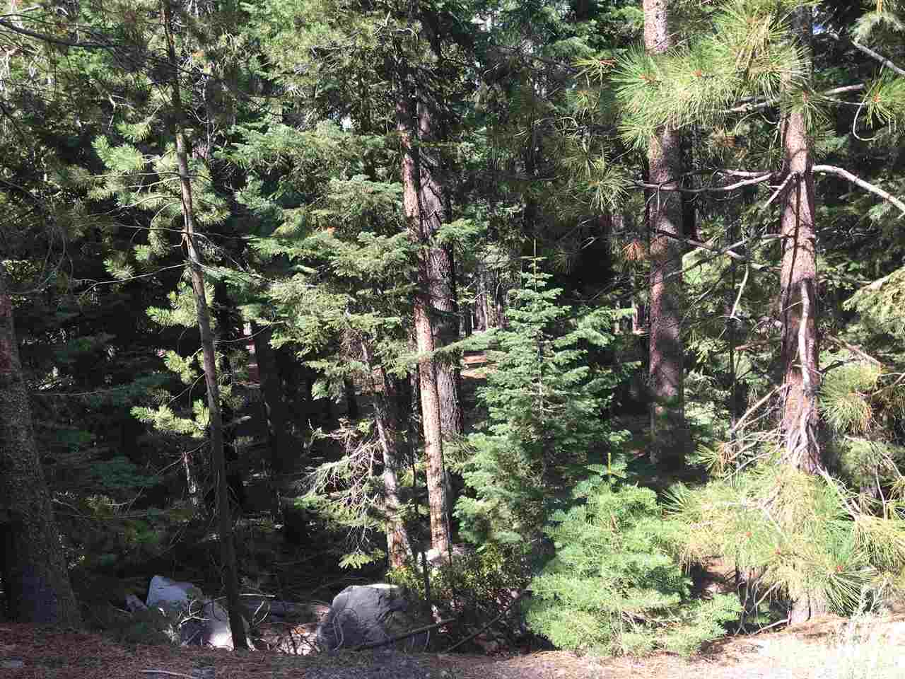 10666 Heather Road Truckee, CA 96161 - Photo 1 of 13 Gallery Image 1