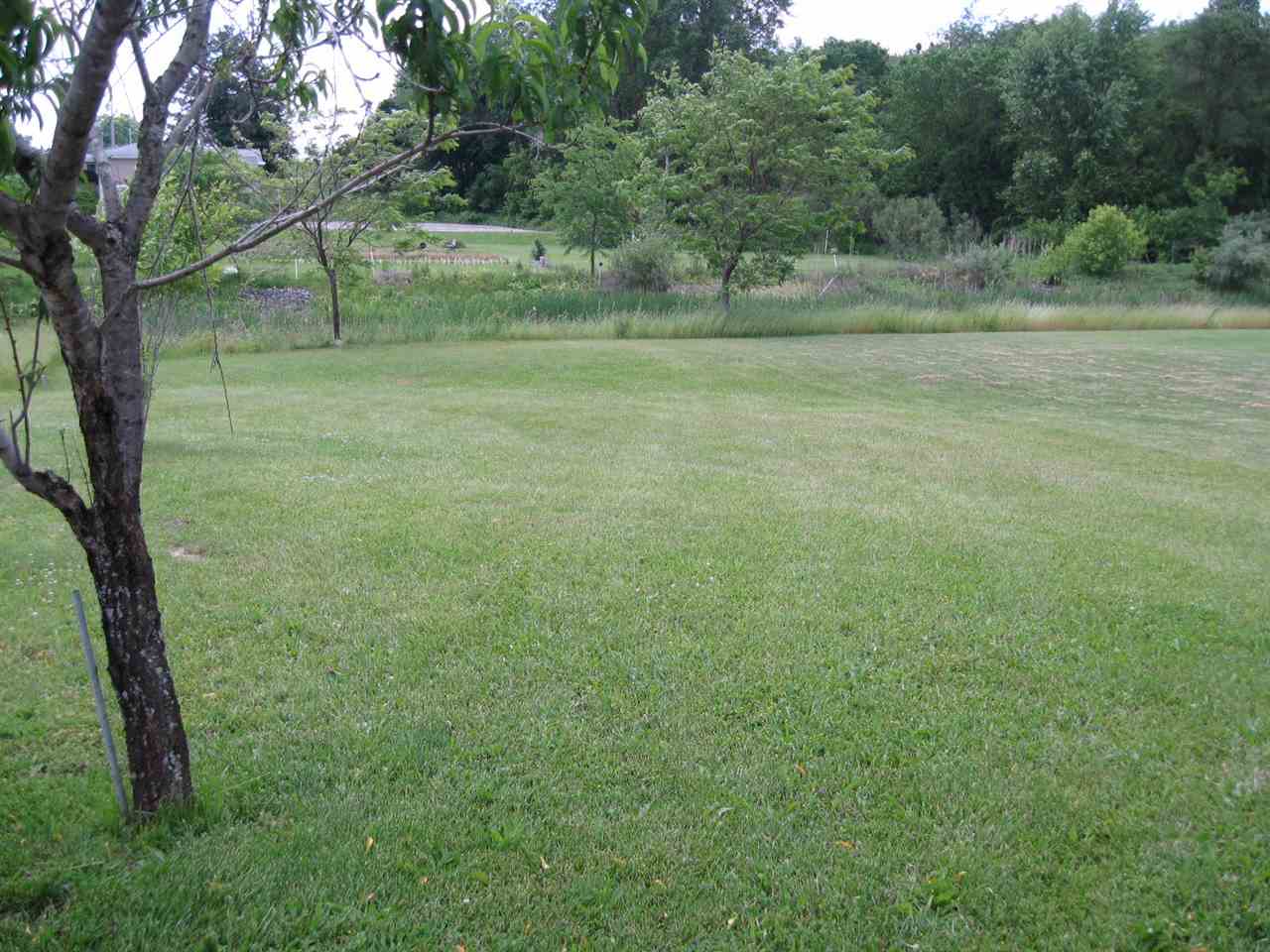 121 Fox Lake Road Angola, IN 46703 - Photo 6 of 13 Gallery Image 6