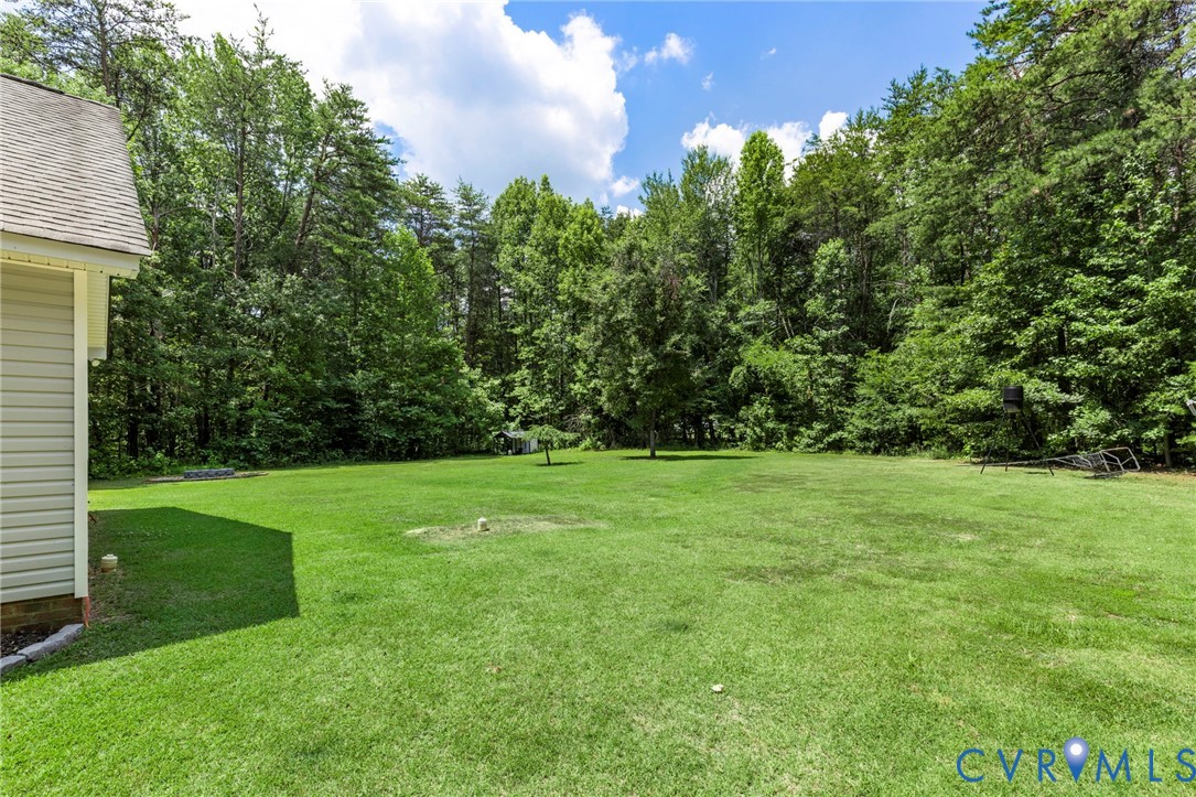 24461 Johnson Road Jetersville, VA 23083 - Photo 29 of 36
