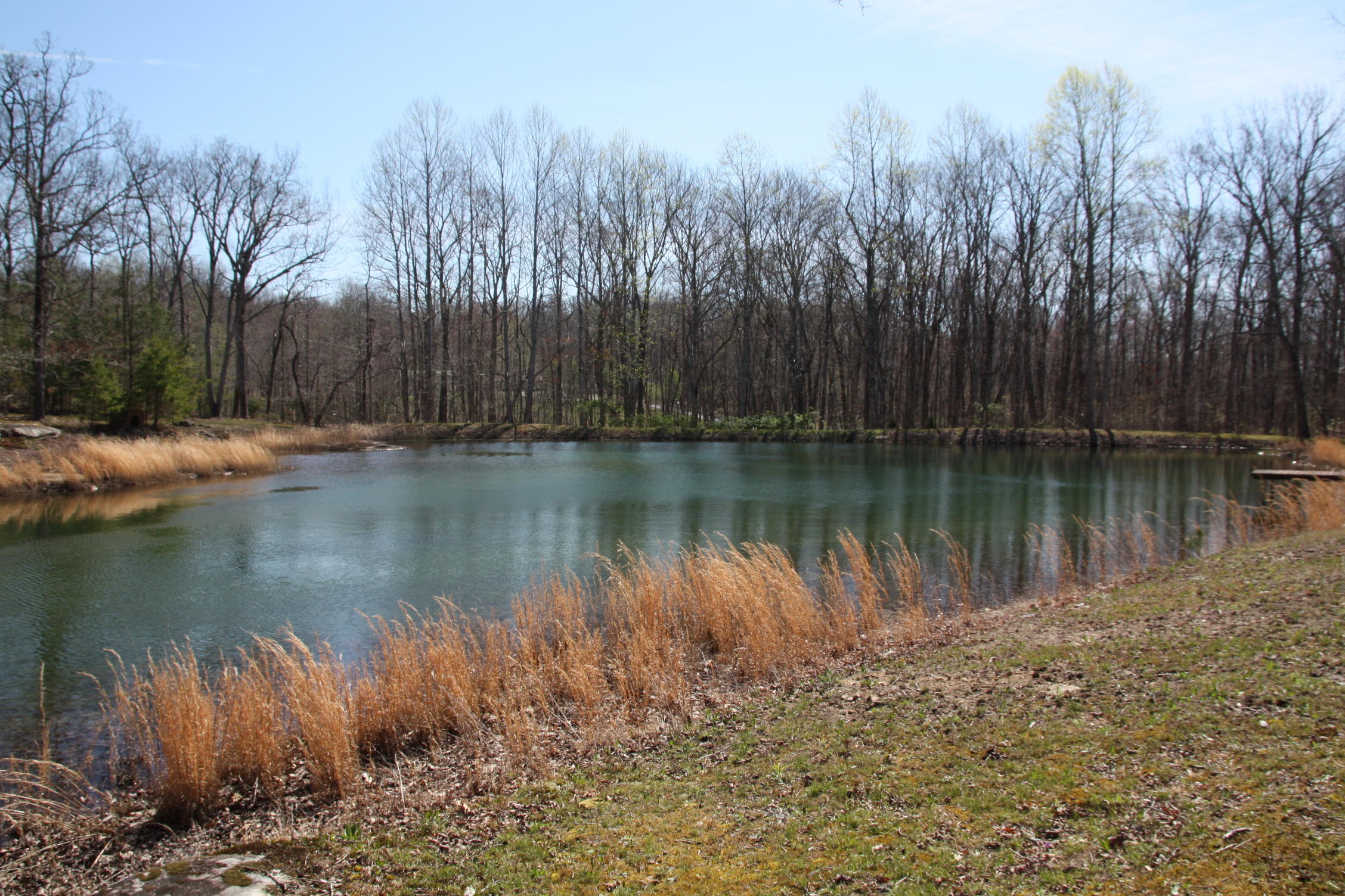 405 Milo Webb Road Crossville, TN 38572 - Photo 24 of 39 Pond