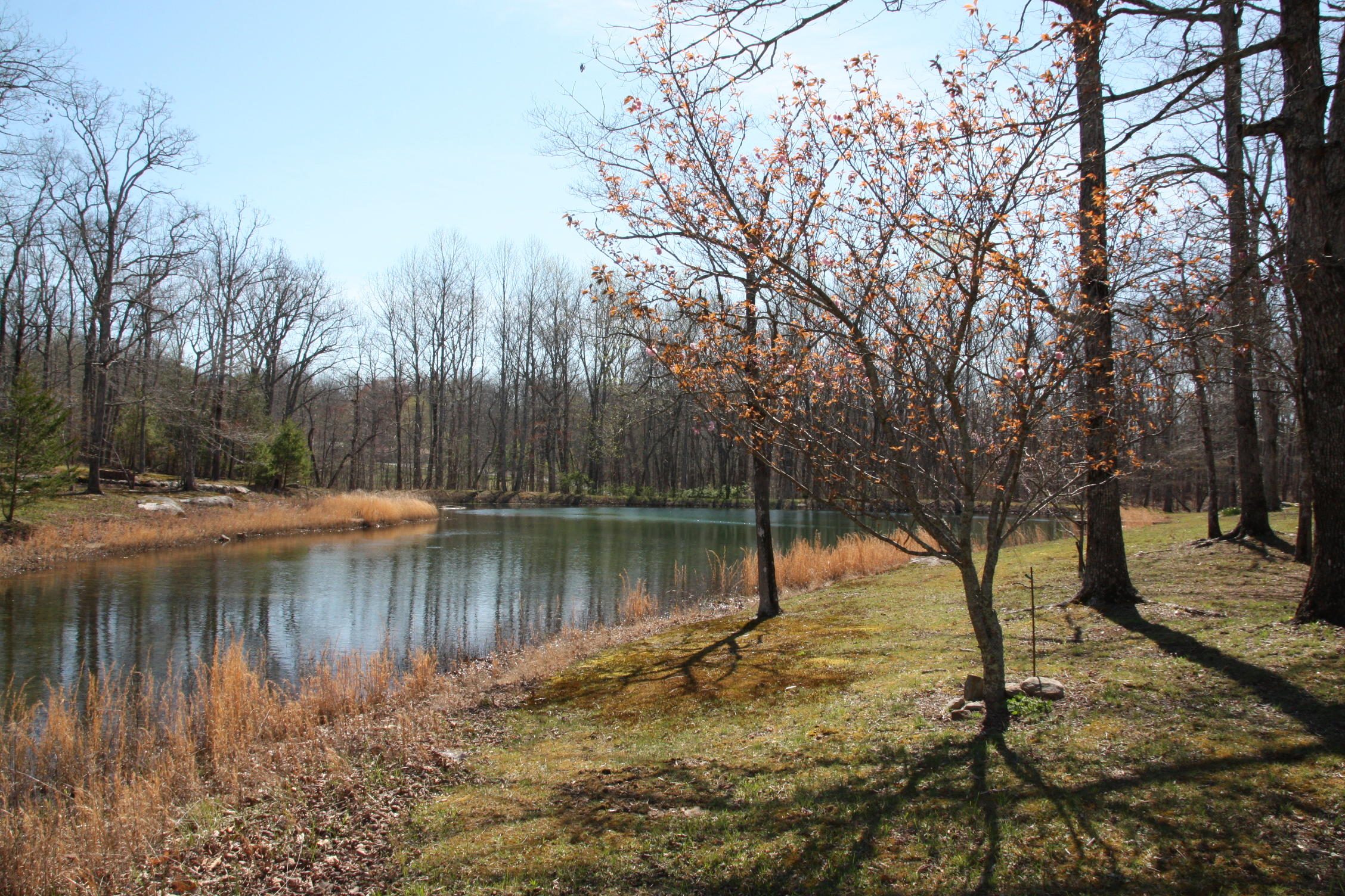 405 Milo Webb Road Crossville, TN 38572 - Photo 26 of 39 Pond