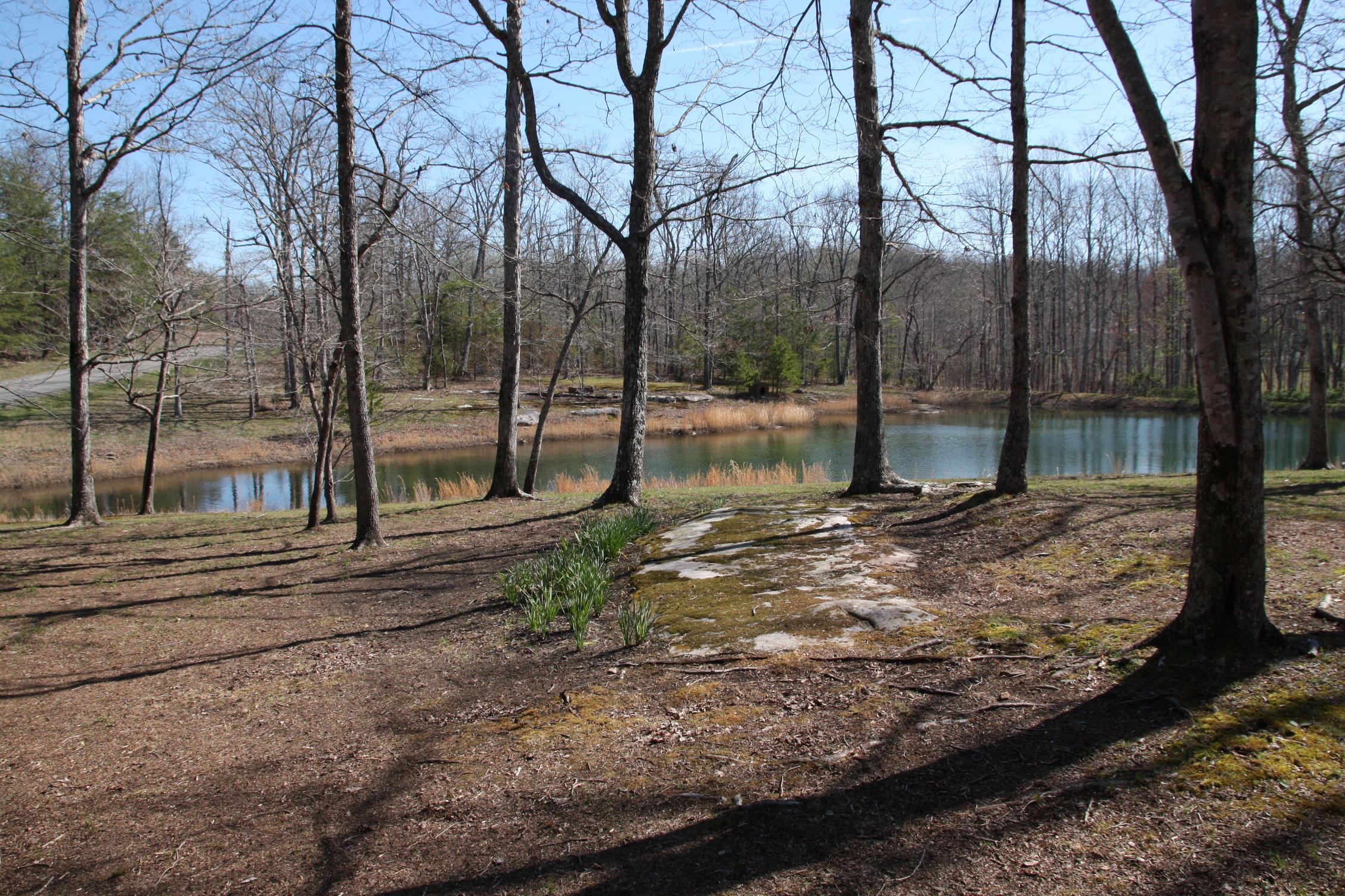 405 Milo Webb Road Crossville, TN 38572 - Photo 27 of 39 Pond