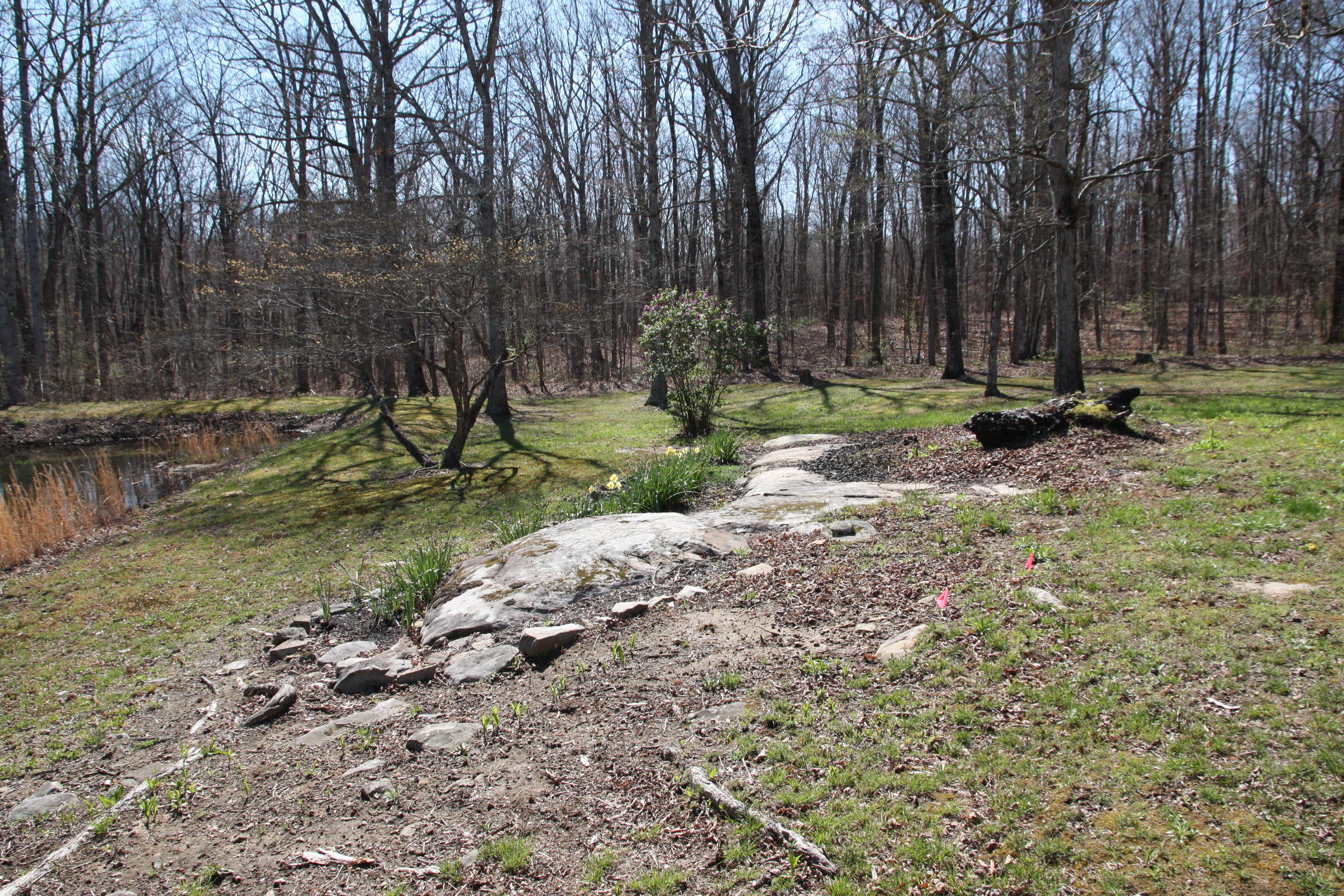 405 Milo Webb Road Crossville, TN 38572 - Photo 29 of 39 Yard