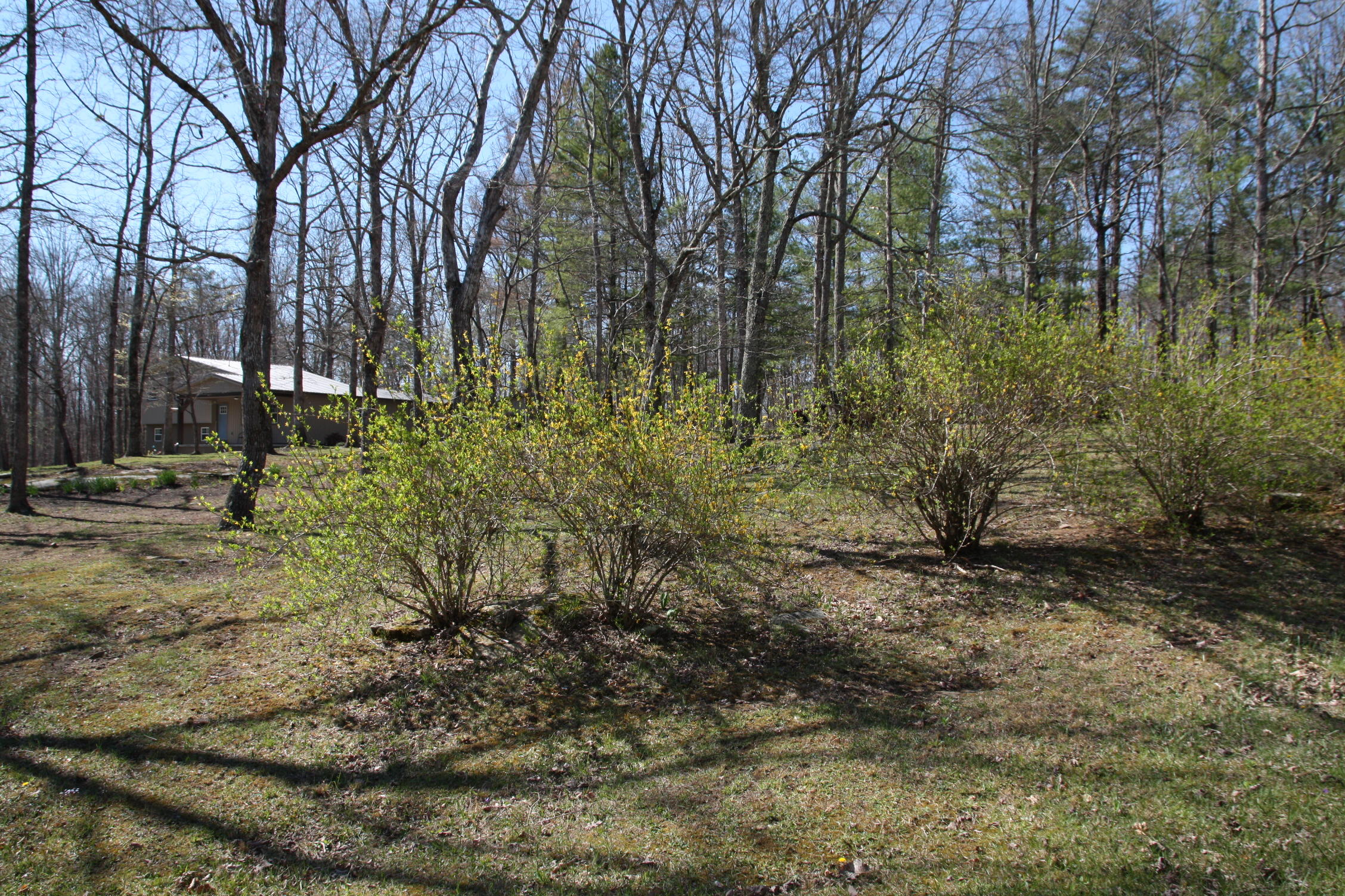 405 Milo Webb Road Crossville, TN 38572 - Photo 30 of 39 From Road