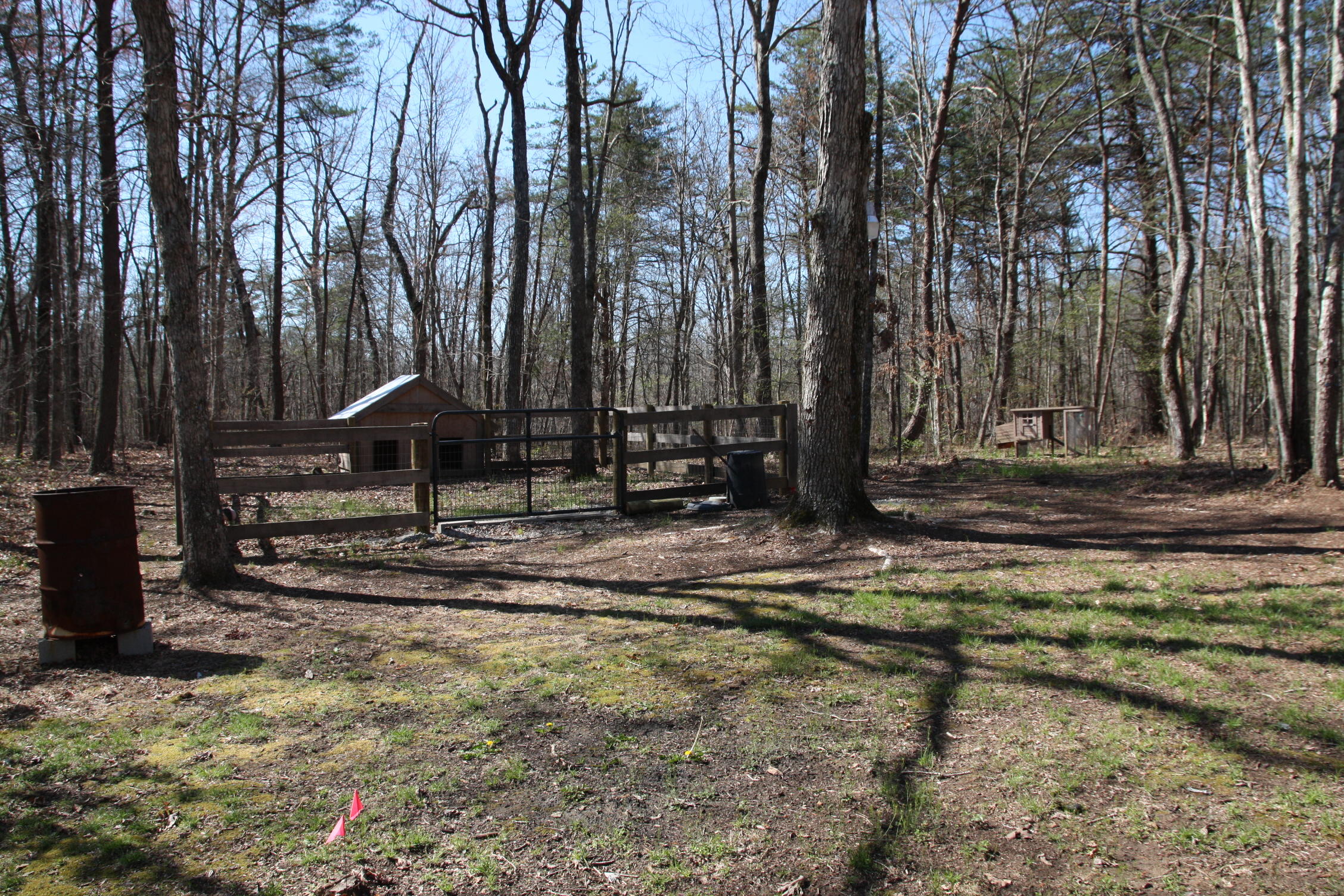405 Milo Webb Road Crossville, TN 38572 - Photo 37 of 39 Back yard