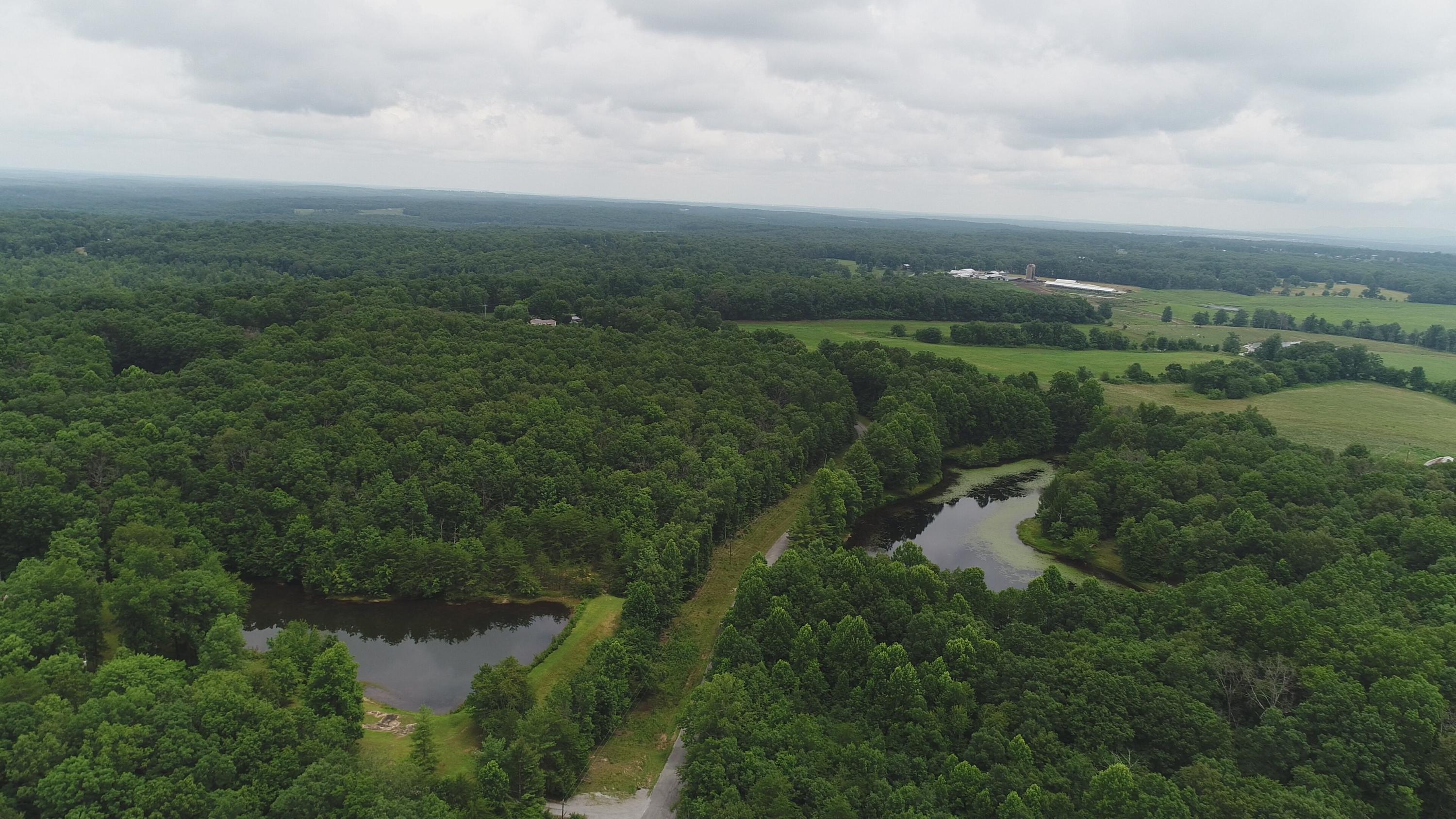 405 Milo Webb Road Crossville, TN 38572 - Photo 38 of 39 Surroundings