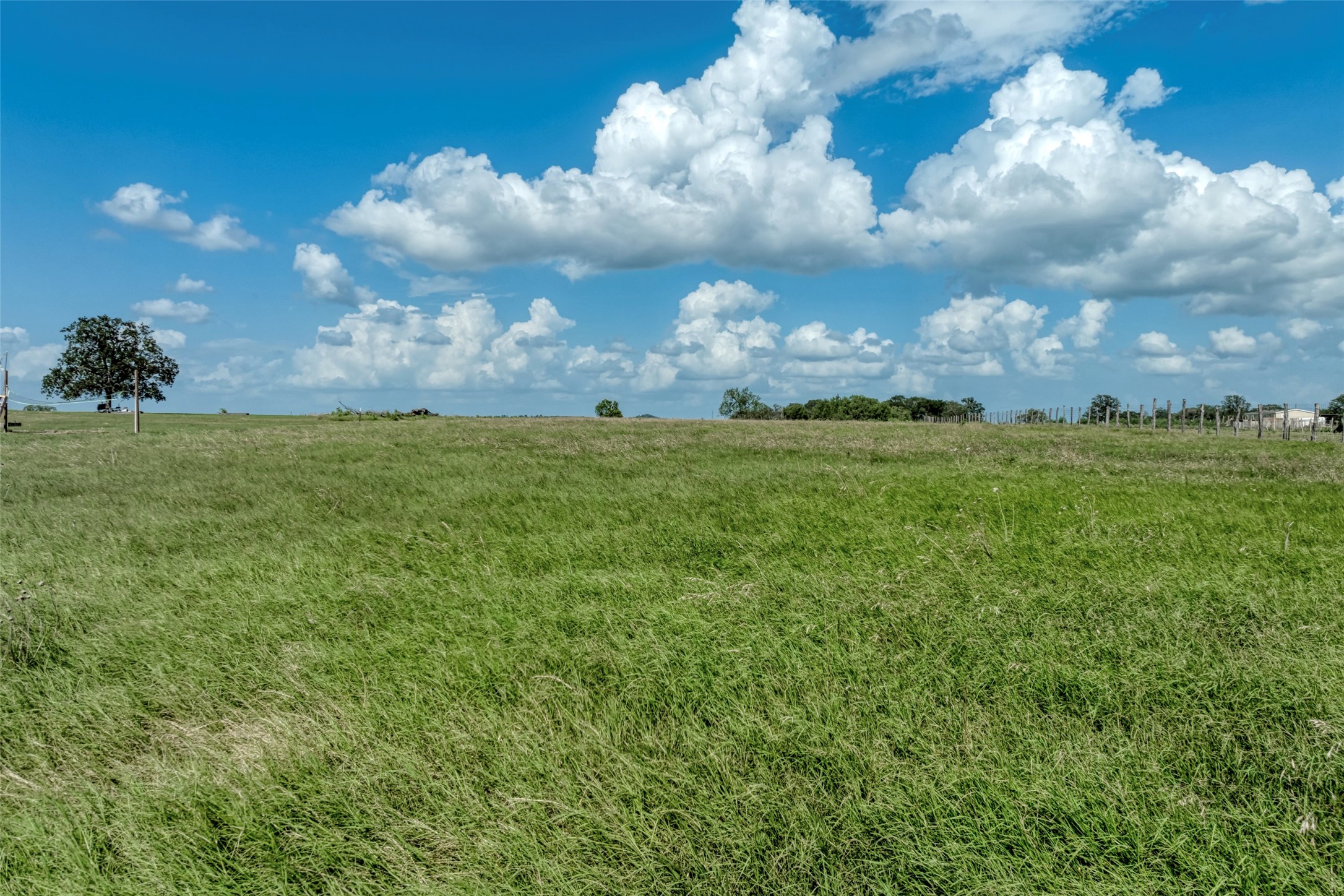 5309 Tenney Creek Road Luling, TX 78648 - Photo 2 of 23 A vast, open expanse of green pastureland beneath a dynamic sky, perfect for development or agricultural pursuits.