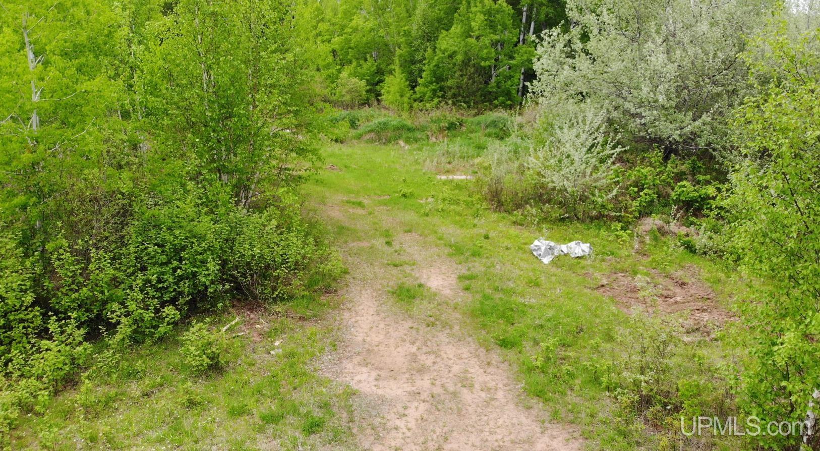 Tbd 1 Off M28 Road Trout Creek, MI 49967 - Photo 11 of 24