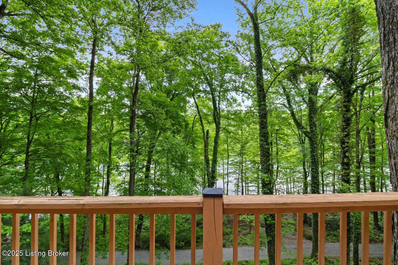 657 Penn Run Road Bee Spring, KY 42207 - Photo 49 of 64 657 Penn Run Road - 54
