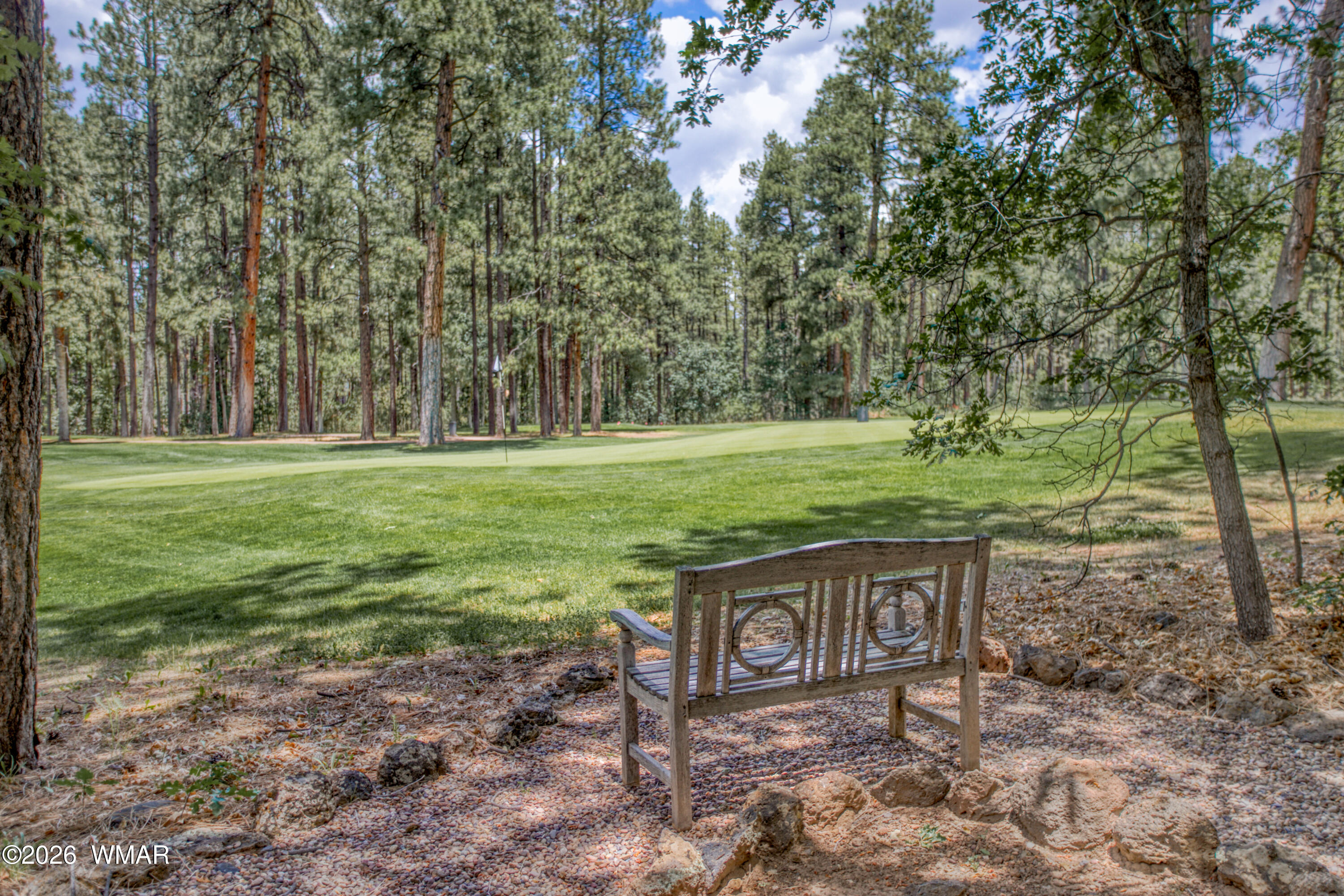 3280 Red Robin Road Pinetop, AZ 85935 - Photo 51 of 64