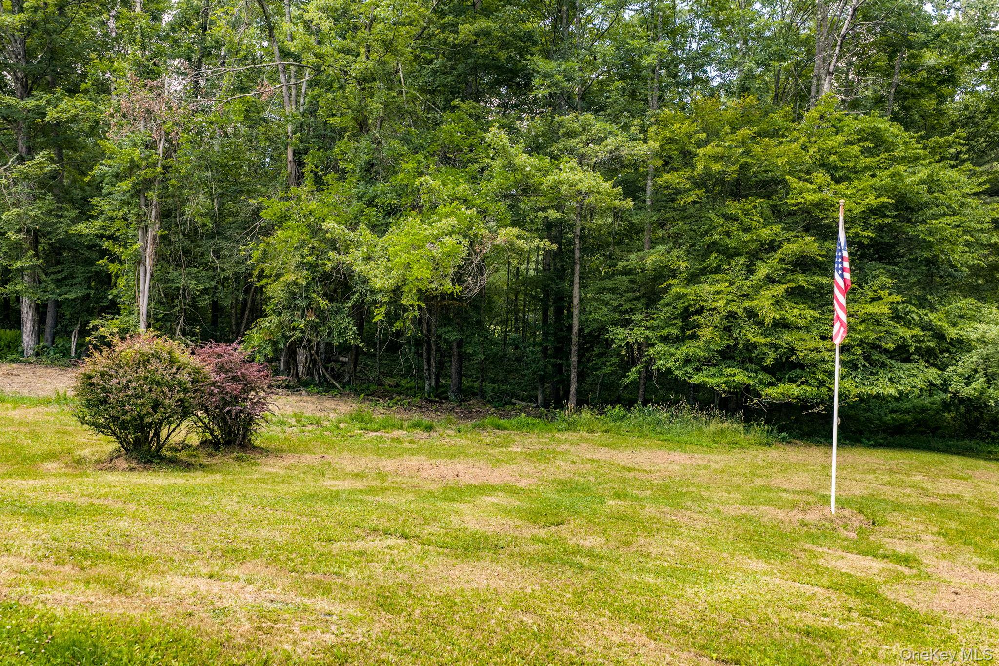 10 Hoffman Road Hankins, NY 12741 - Photo 30 of 46