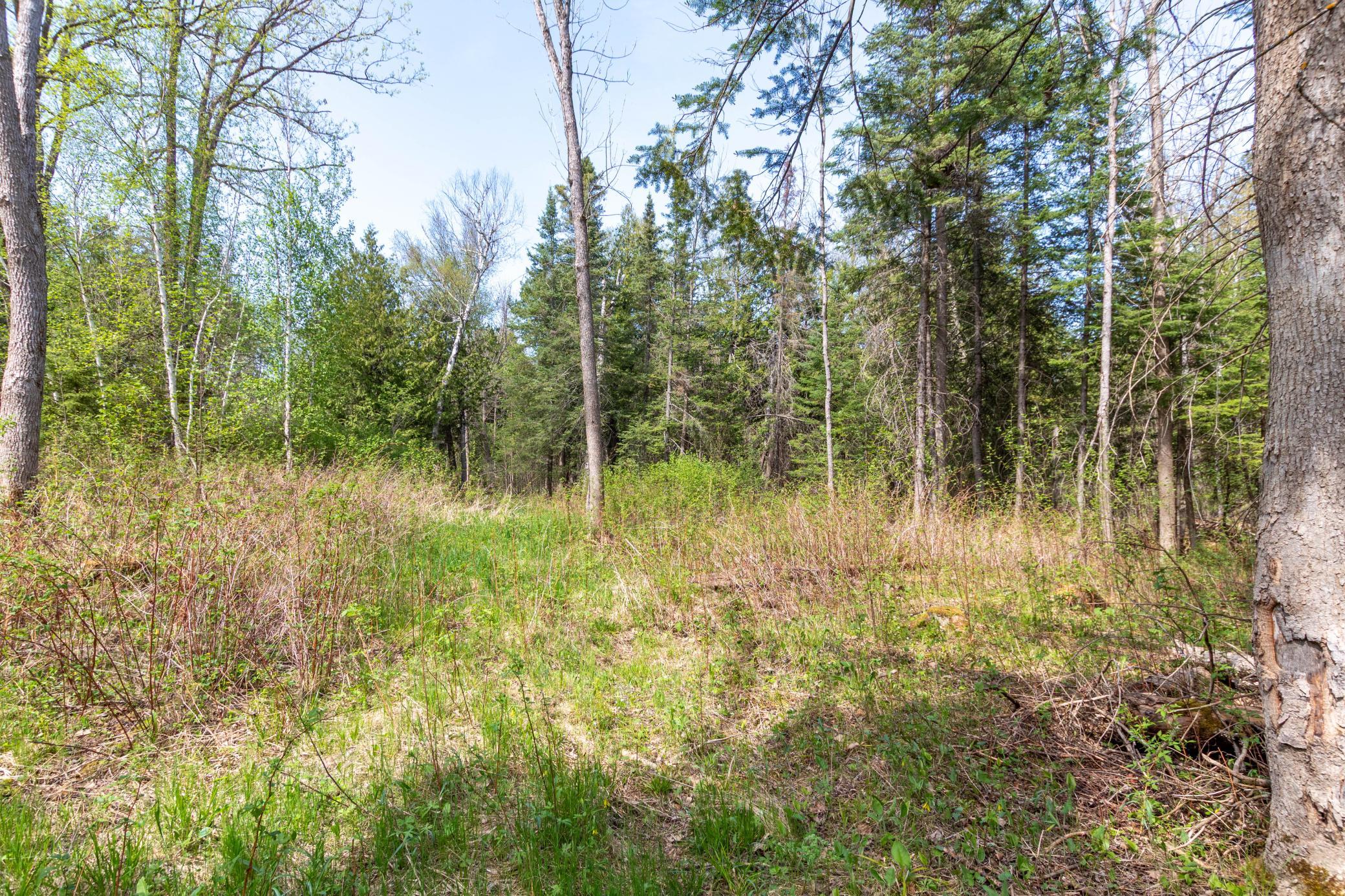 Tbd Tbd Stephani Road Northwest Puposky, MN 56667 - Photo 4 of 24