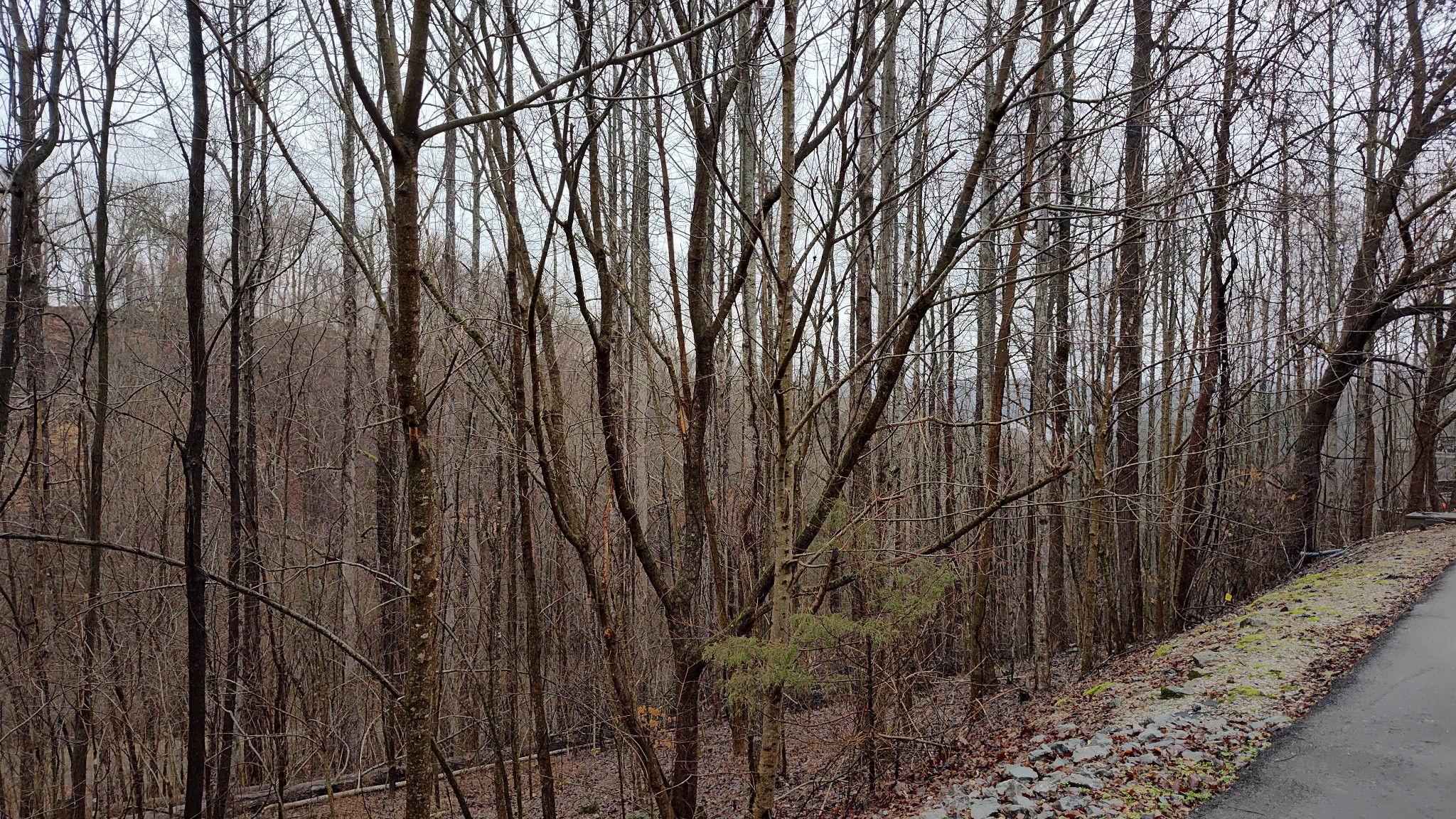 35 Bayview Drive Lancaster, TN 38569 - Photo 4 of 12