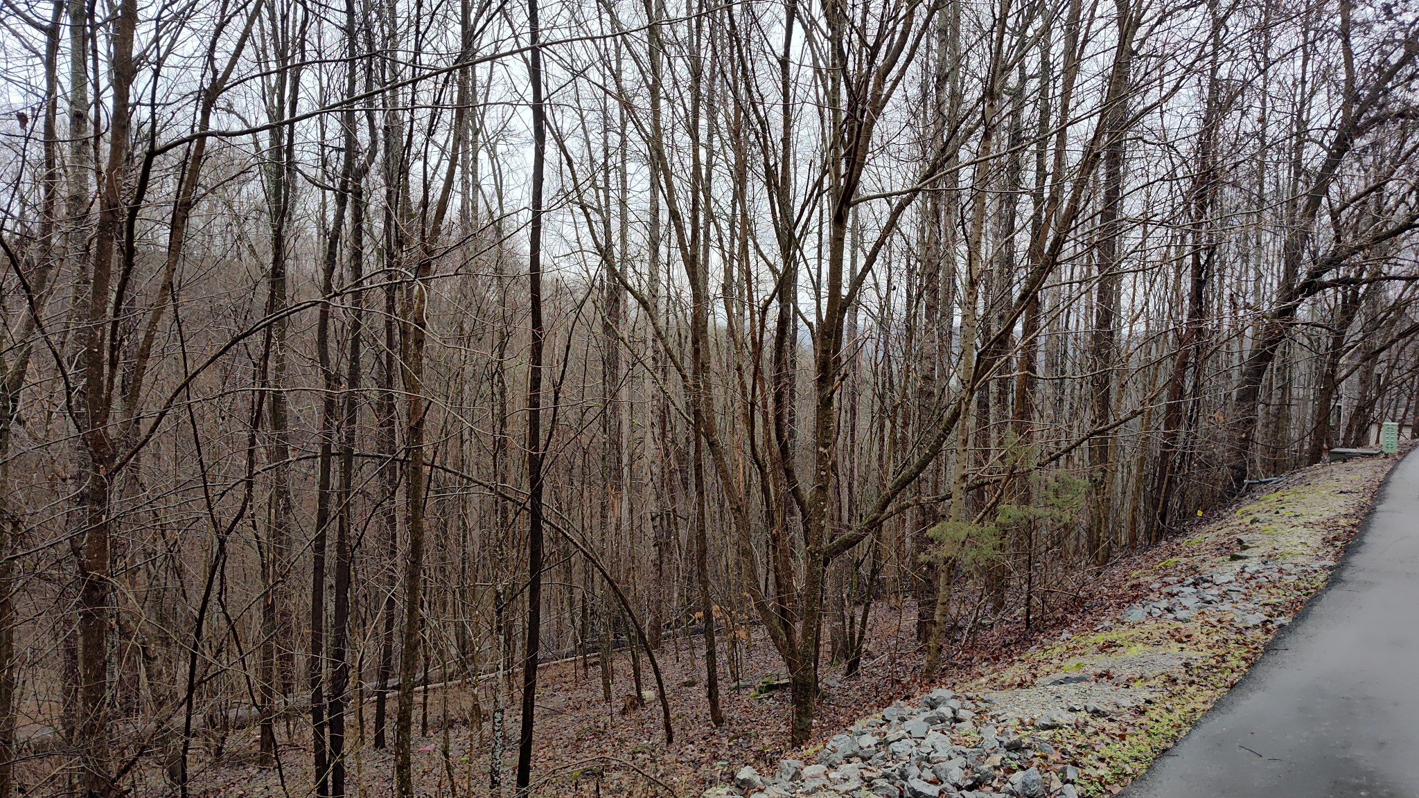 35 Bayview Drive Lancaster, TN 38569 - Photo 7 of 12