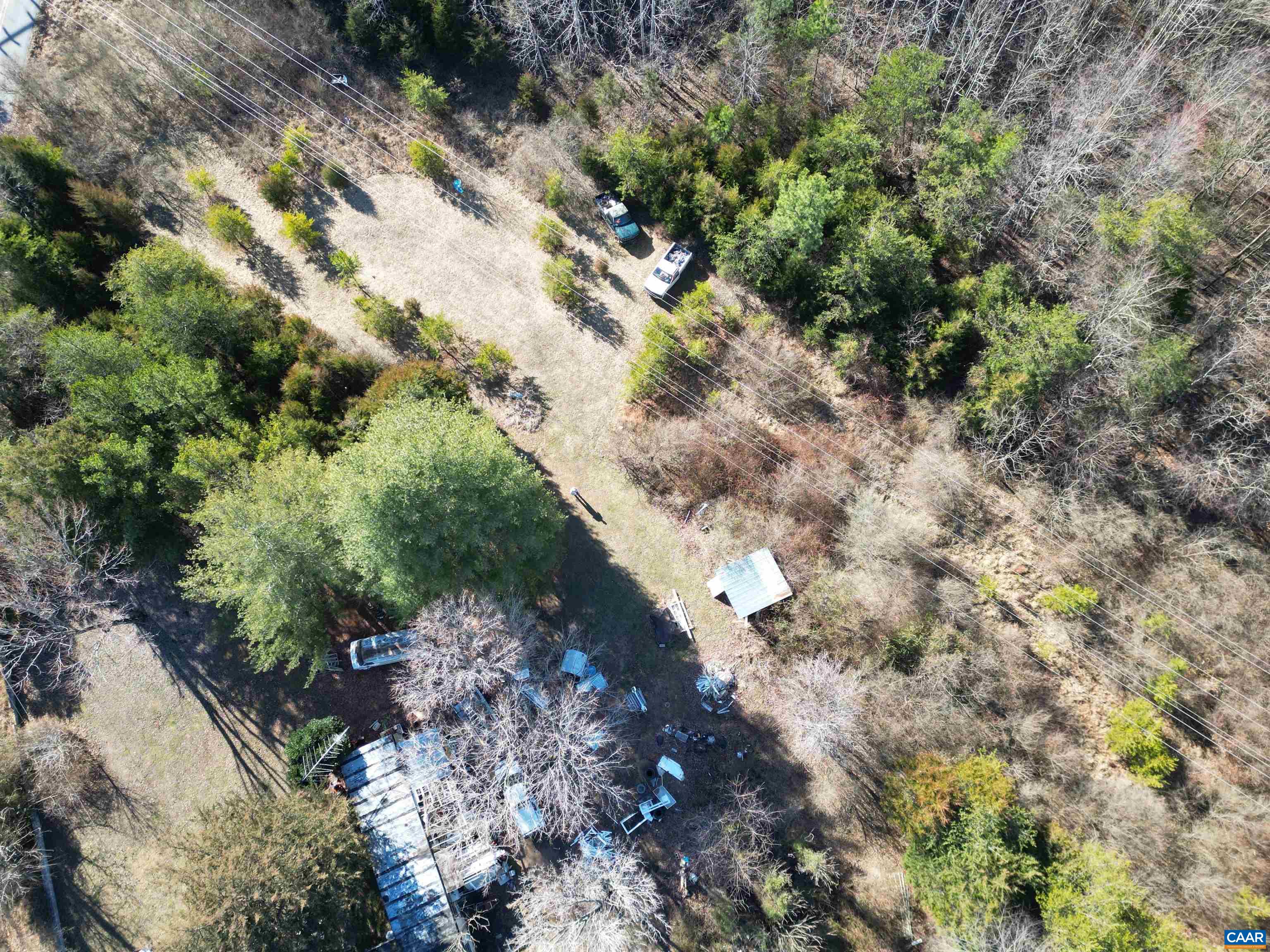 3406 Tye River Road Amherst, VA 24521 - Photo 10 of 10 a view of a forest with a tree