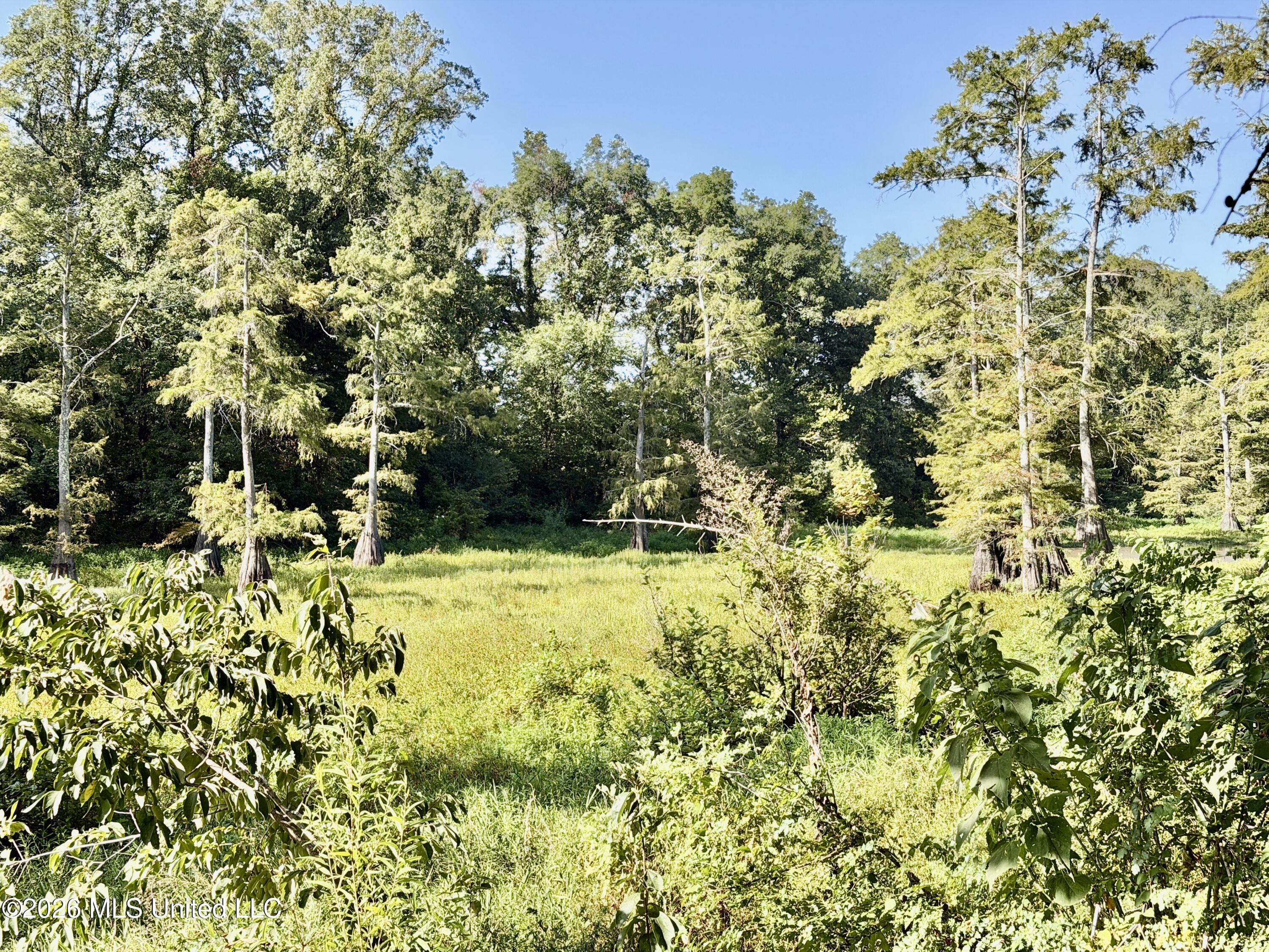 322 Walker Road Cleveland, MS 38732 - Photo 7 of 13 IMG_4929
