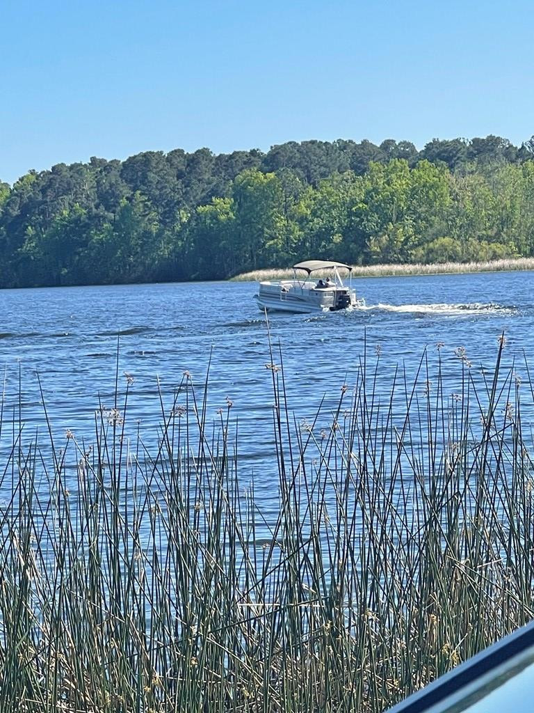 0 1402 Greenall Road Summerton, SC 29148 - Photo 22 of 26 Gallery Image 22