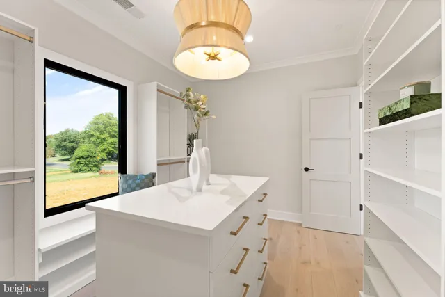 a view of walk in closet with empty racks