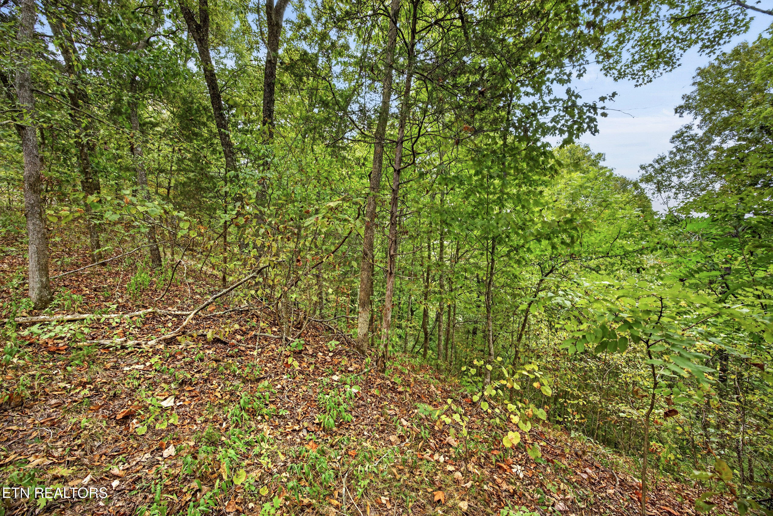 Lot 27 Timber Ridge Lane Celina, TN 38551 - Photo 2 of 21 1-8N5A6890