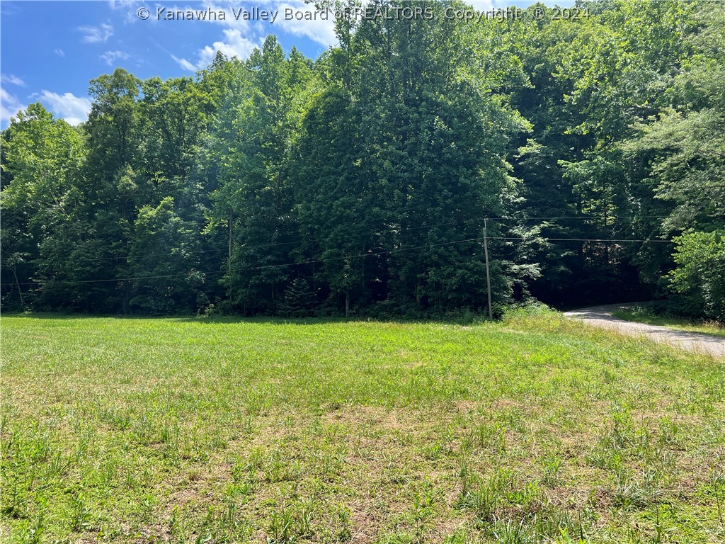 0 Simons Fork Wallback, WV 25285 - Photo 6 of 8 Gallery Image 6