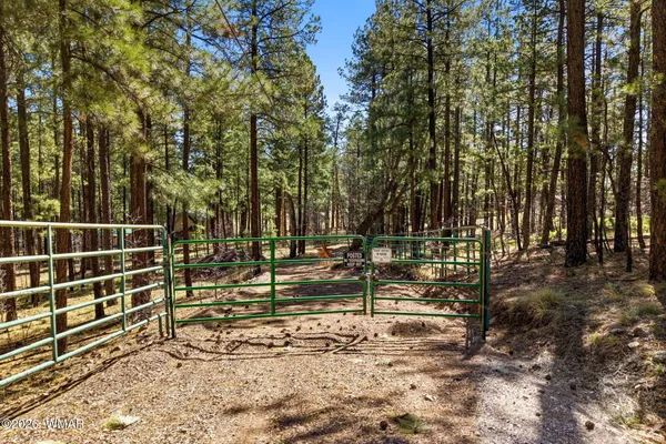 $125,000 | 11 County Road 2135, Alpine, AZ 85920
